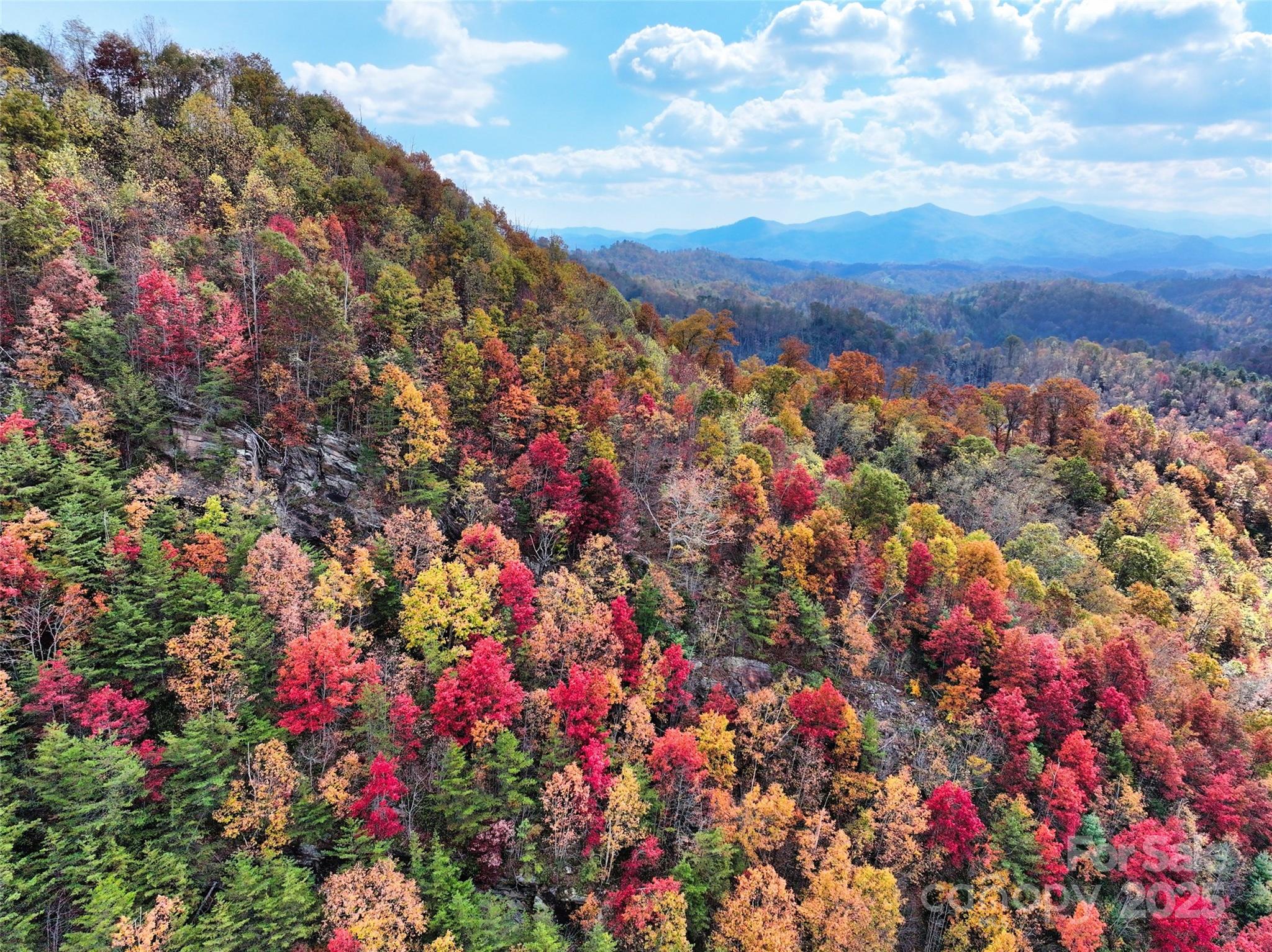 366 Renfro Road Property Photo 32