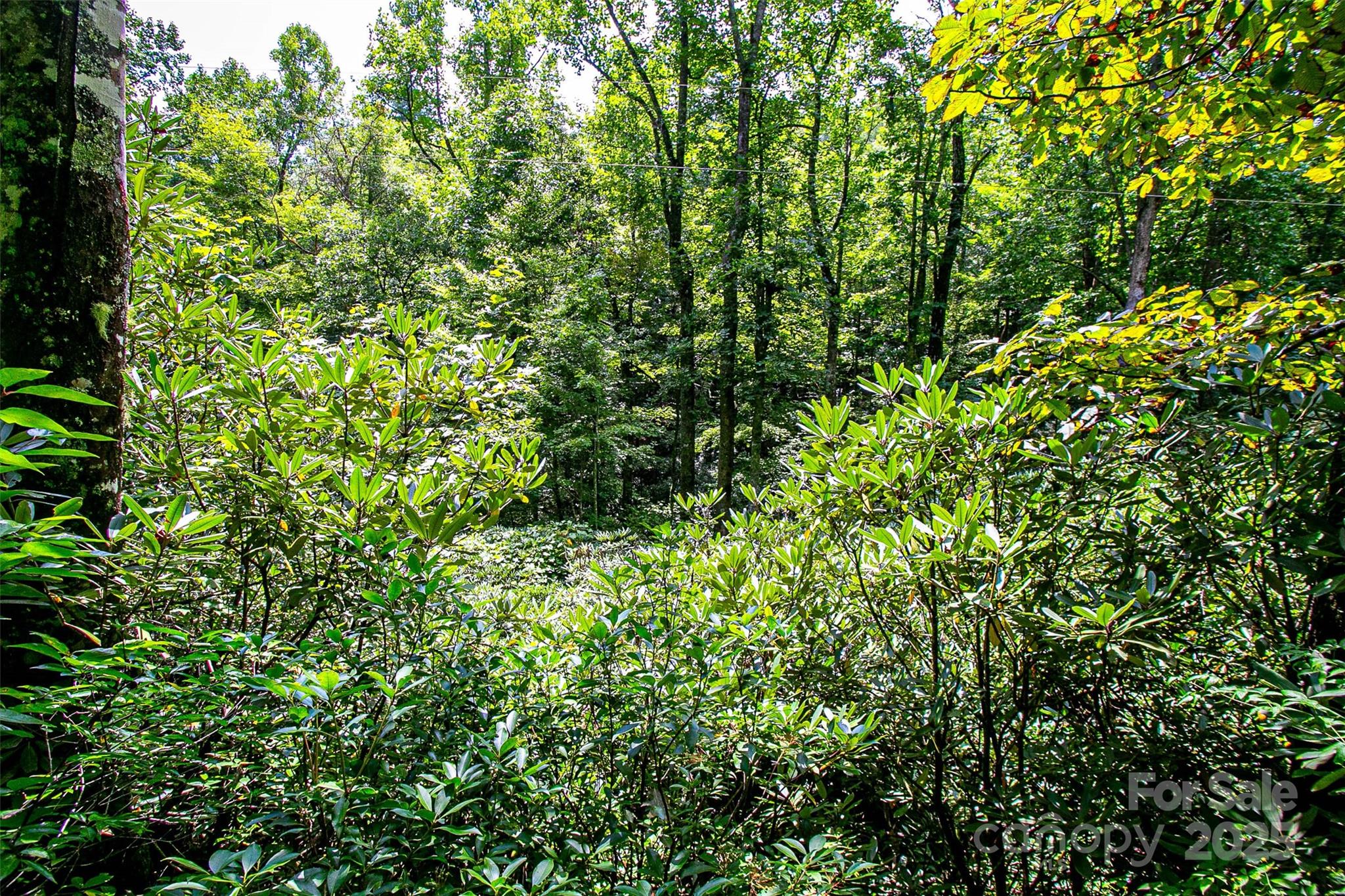 0000 Happy Acres Road Property Photo 6