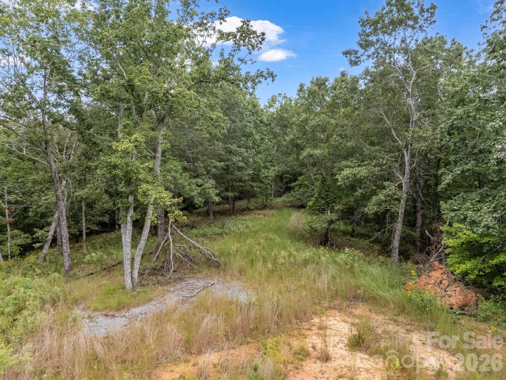 Tbd N Highland Farms Road 6 Property Photo 5