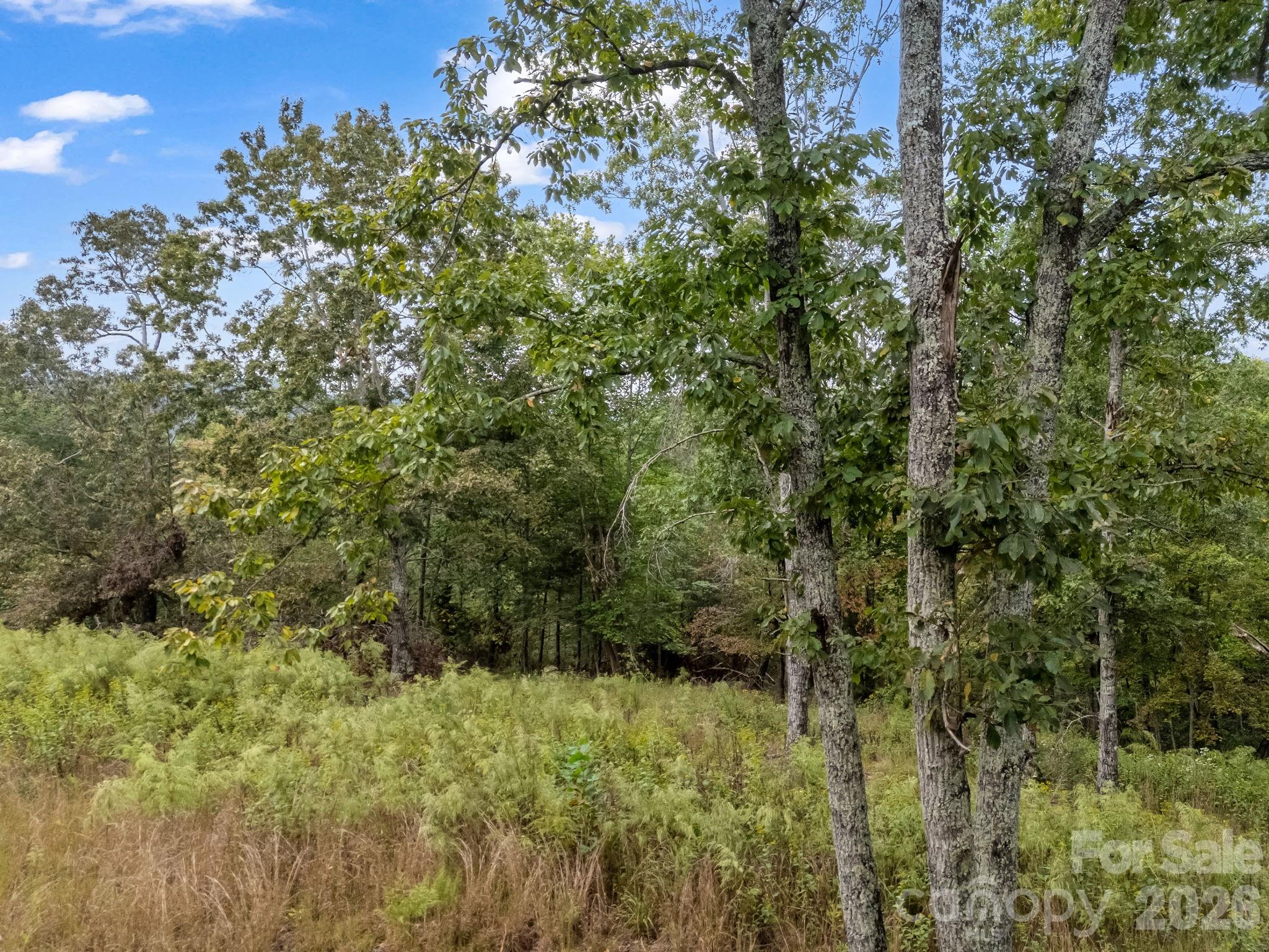 Tbd N Highland Farms Road 6 Property Photo 9