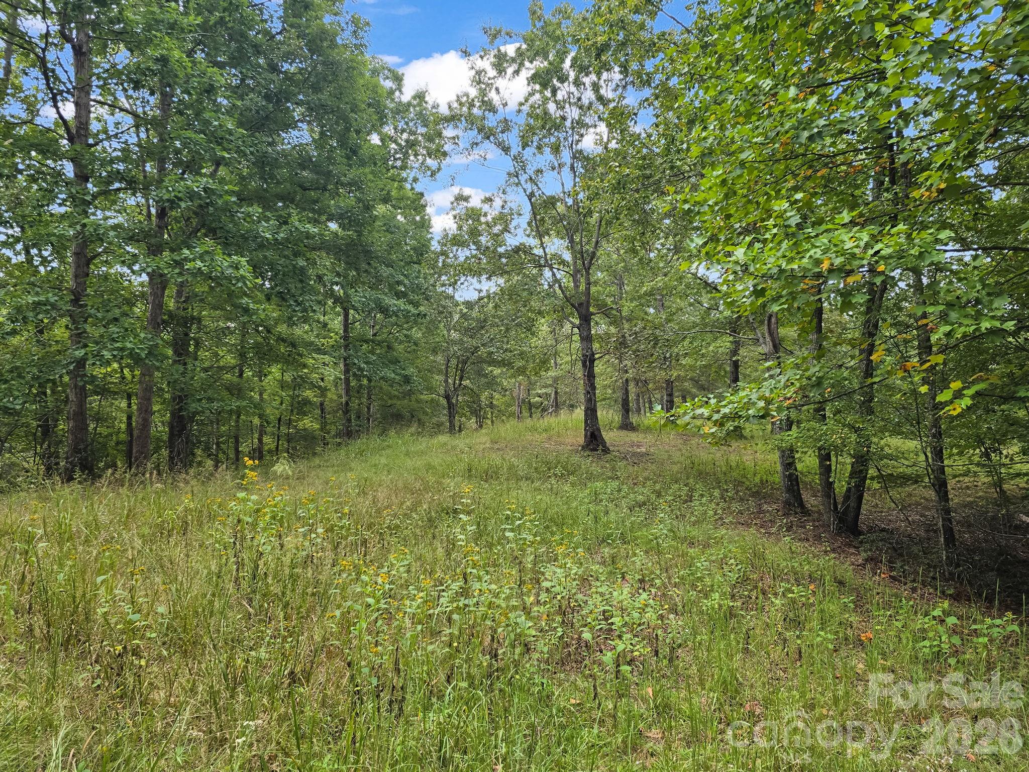 Tbd N Highland Farms Road 6 Property Photo 18