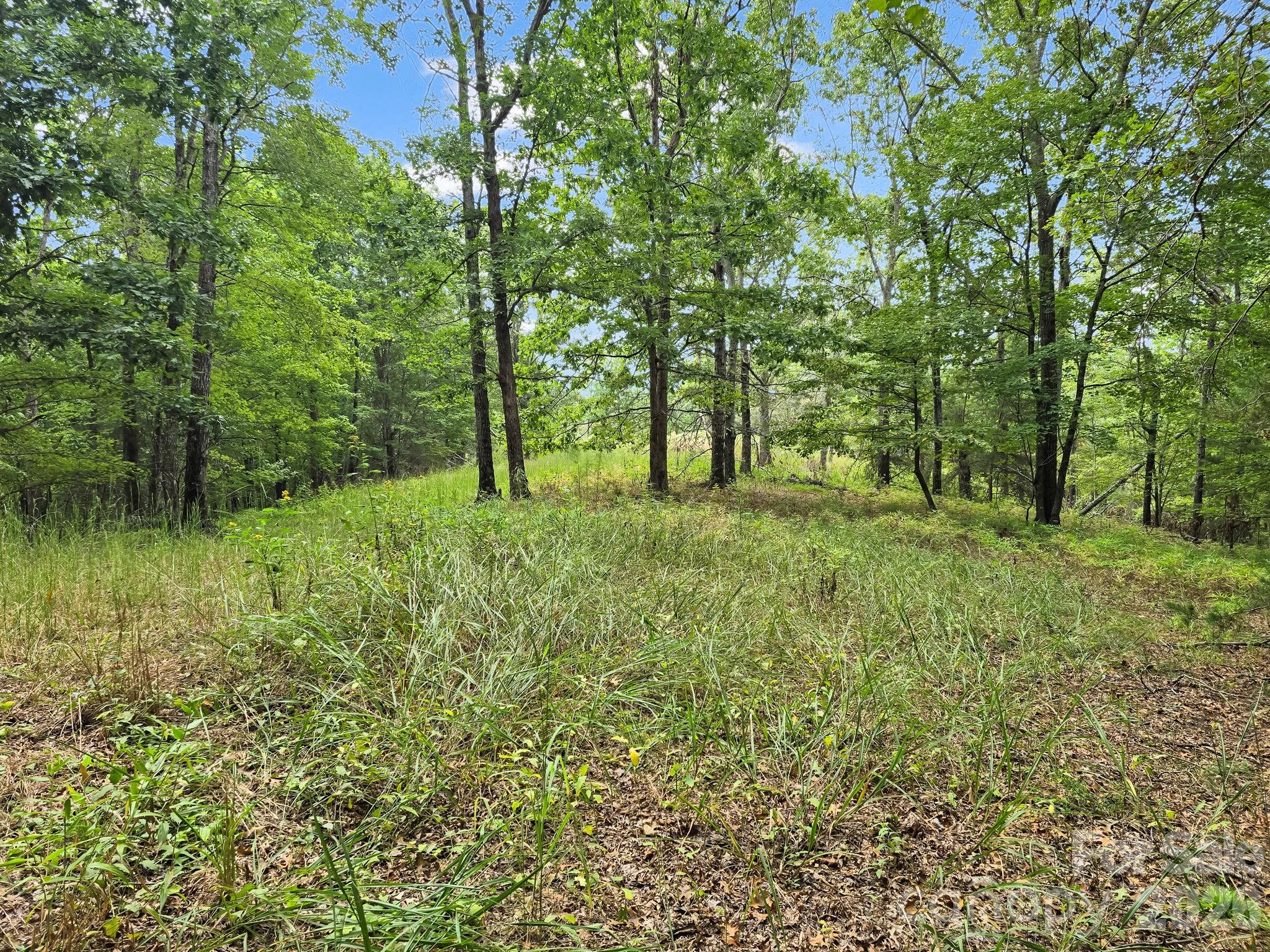 Tbd N Highland Farms Road 6 Property Photo 19