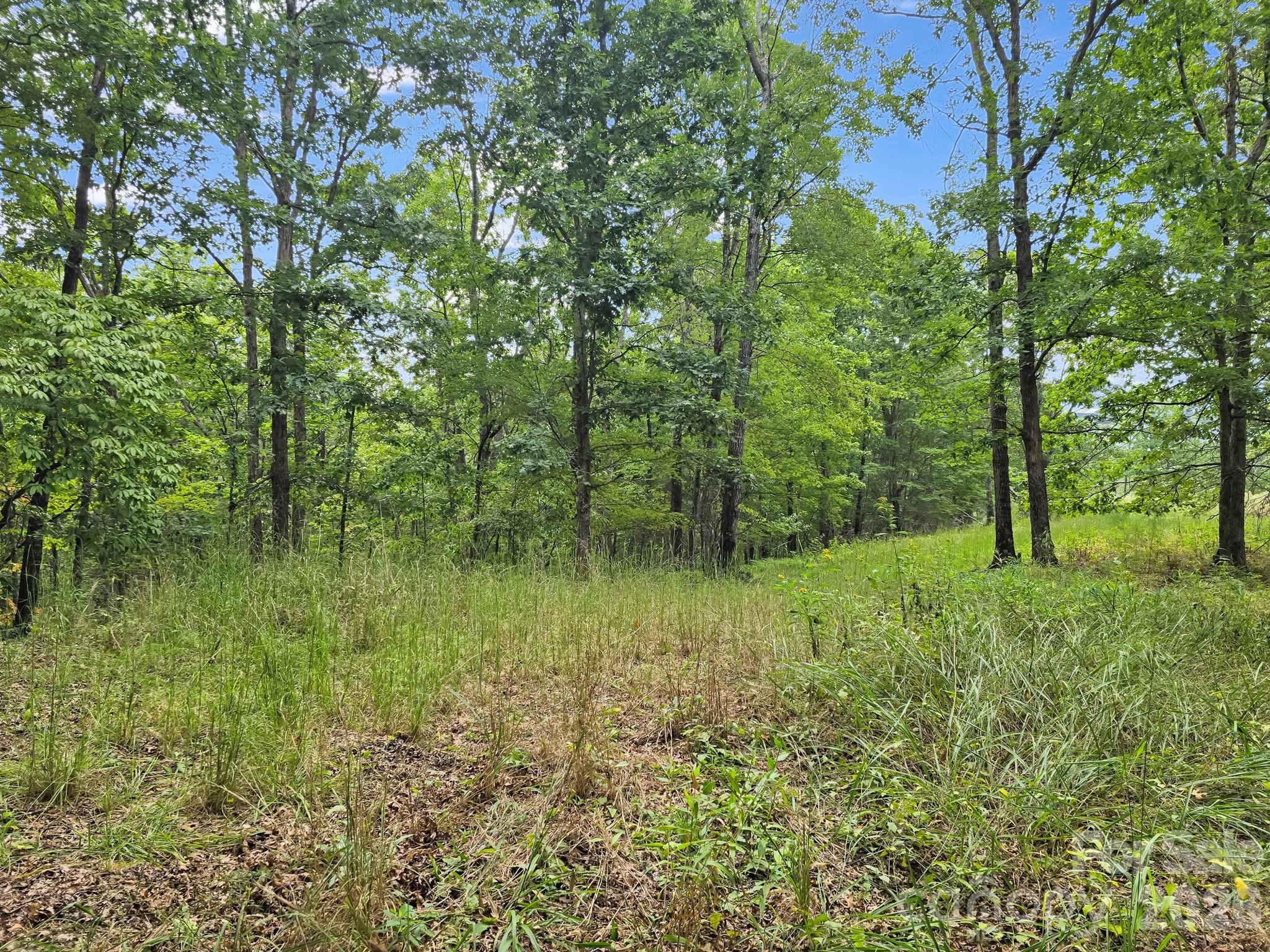Tbd N Highland Farms Road 6 Property Photo 21