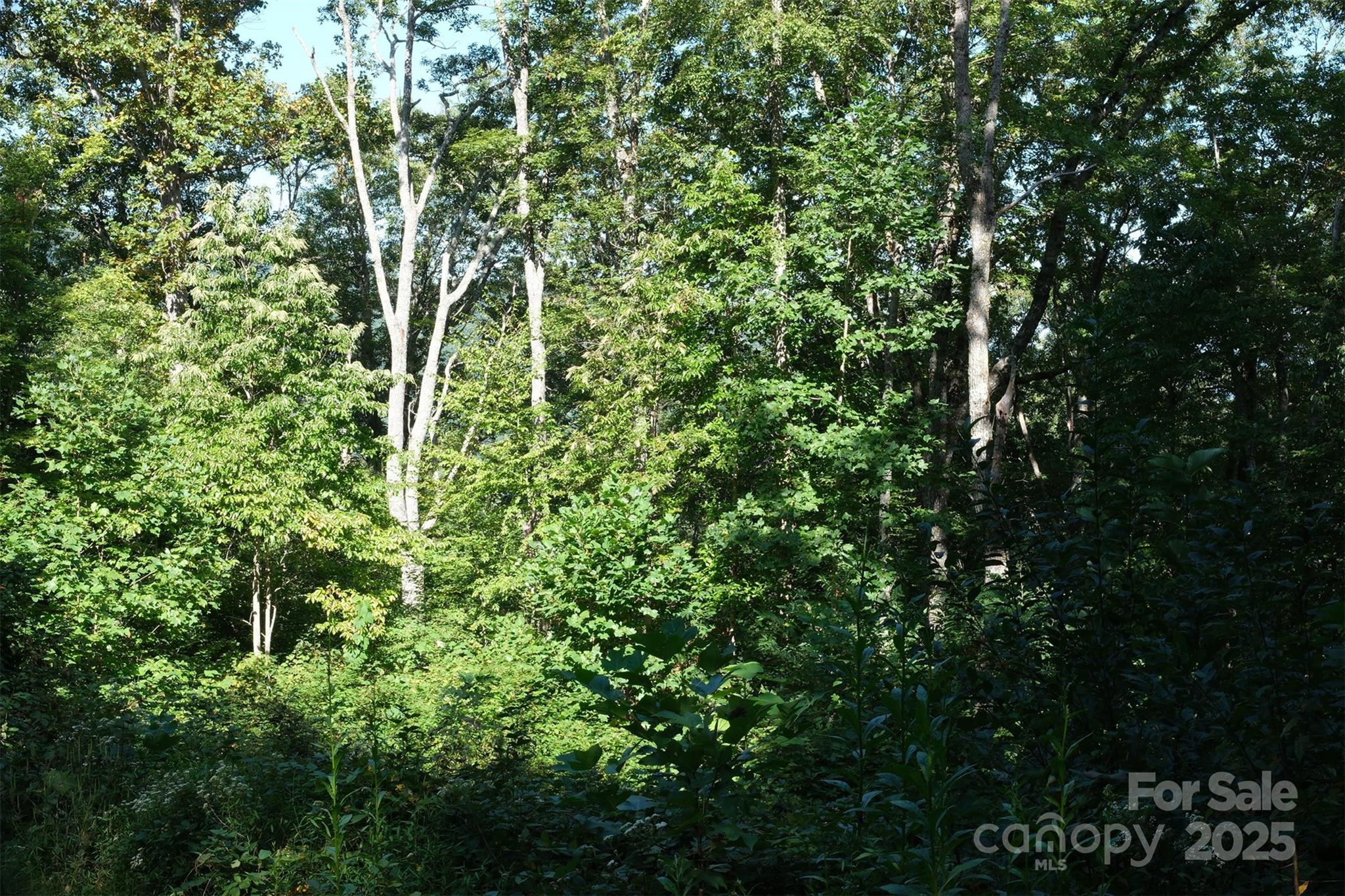 Lot: 12 Caperton Point Road 12 Property Photo 1