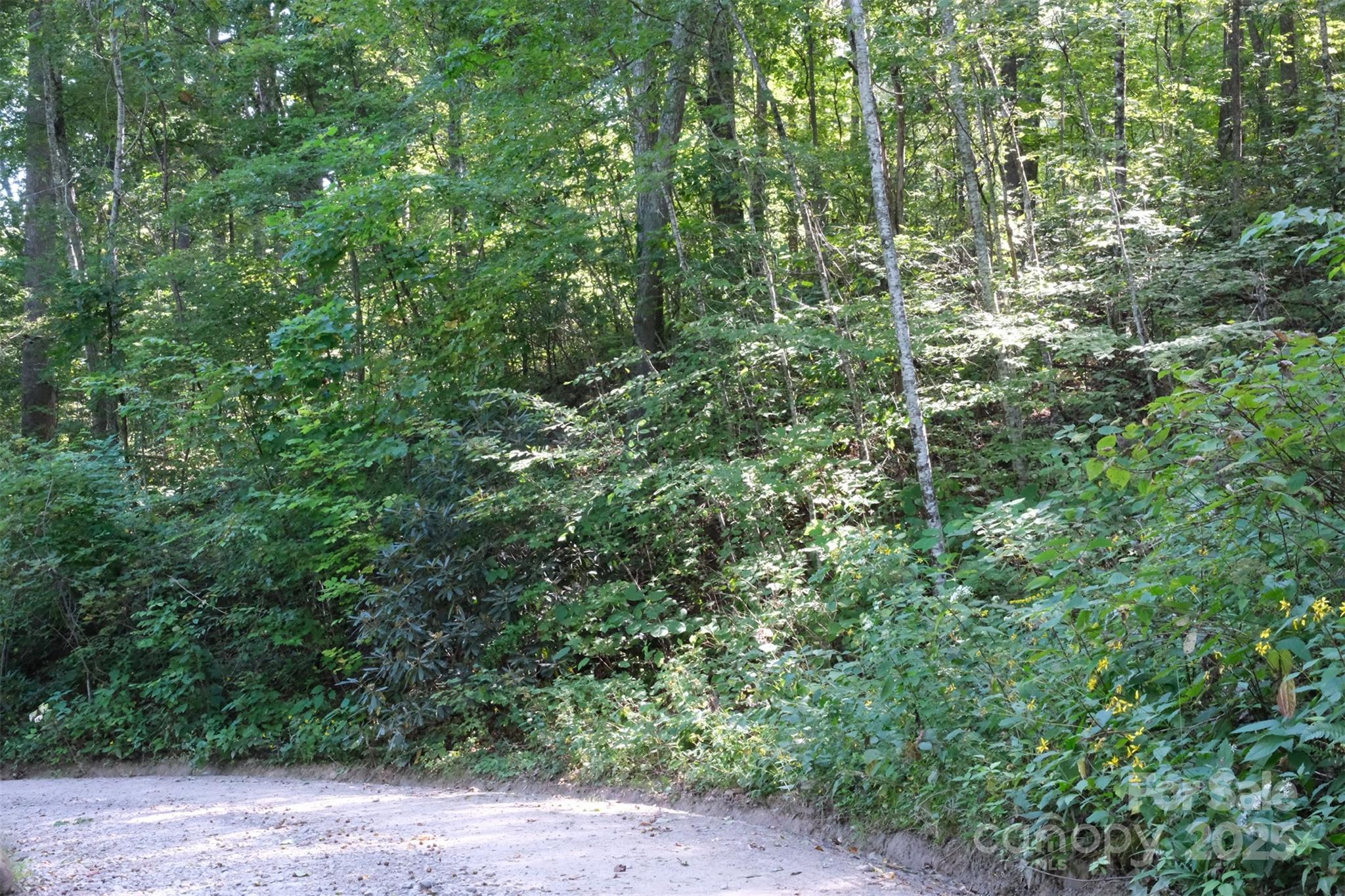 Lot: 12 Caperton Point Road 12 Property Photo 4