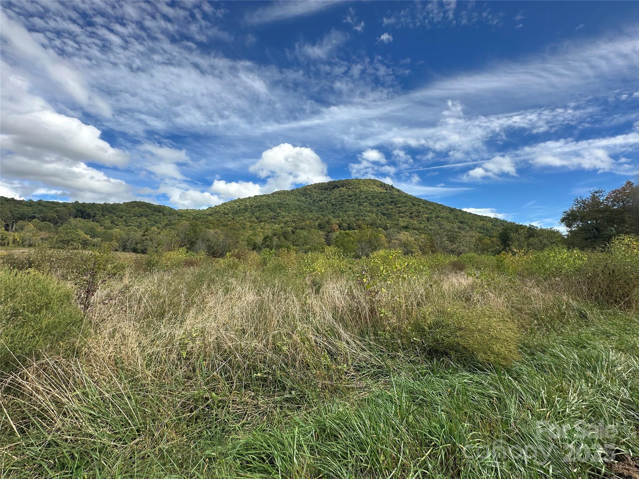 000 Highland River Parkway 3 Property Photo 3