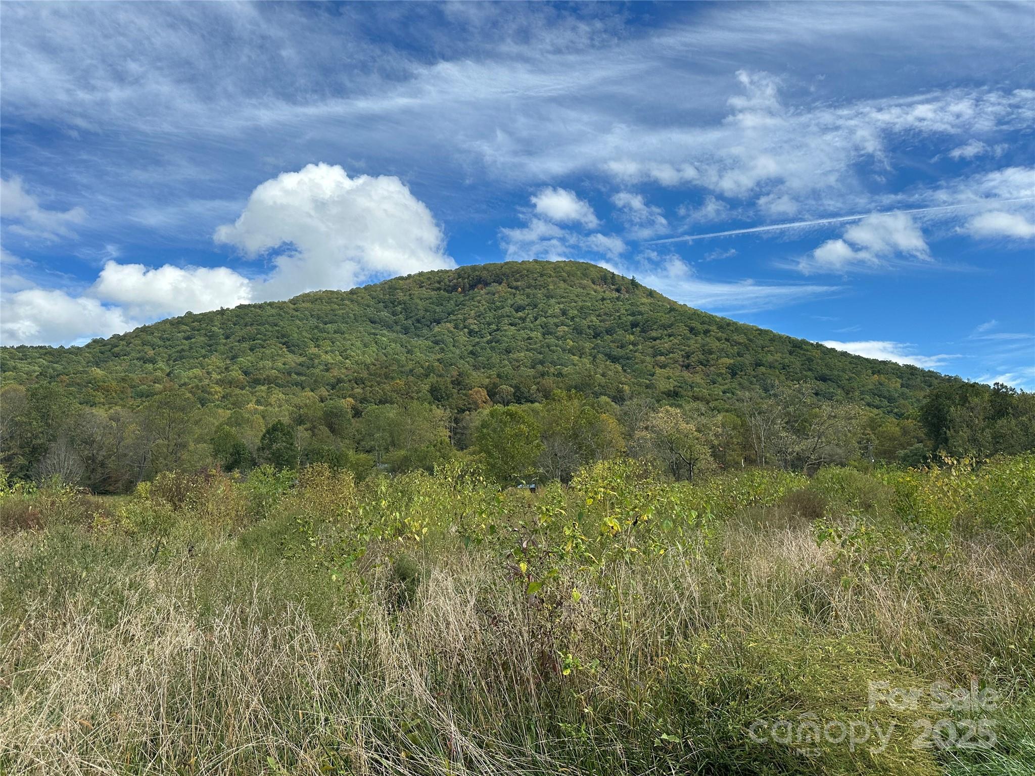 000 Highland River Parkway 3 Property Photo 4