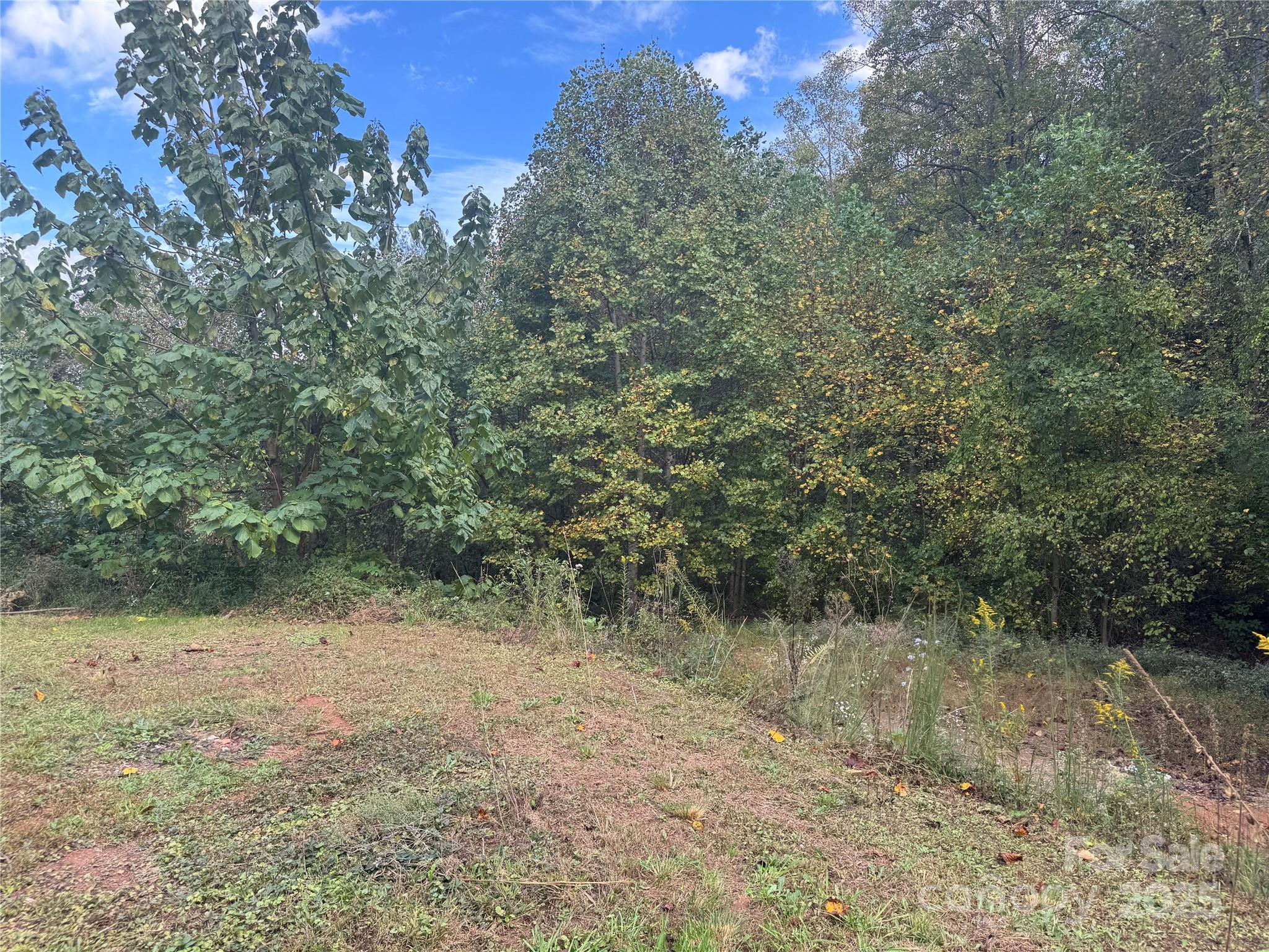 28 Cody Brian Drive Property Photo 6