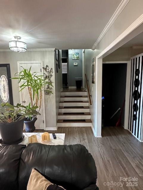 847 Kathryn Drive Property Photo 10