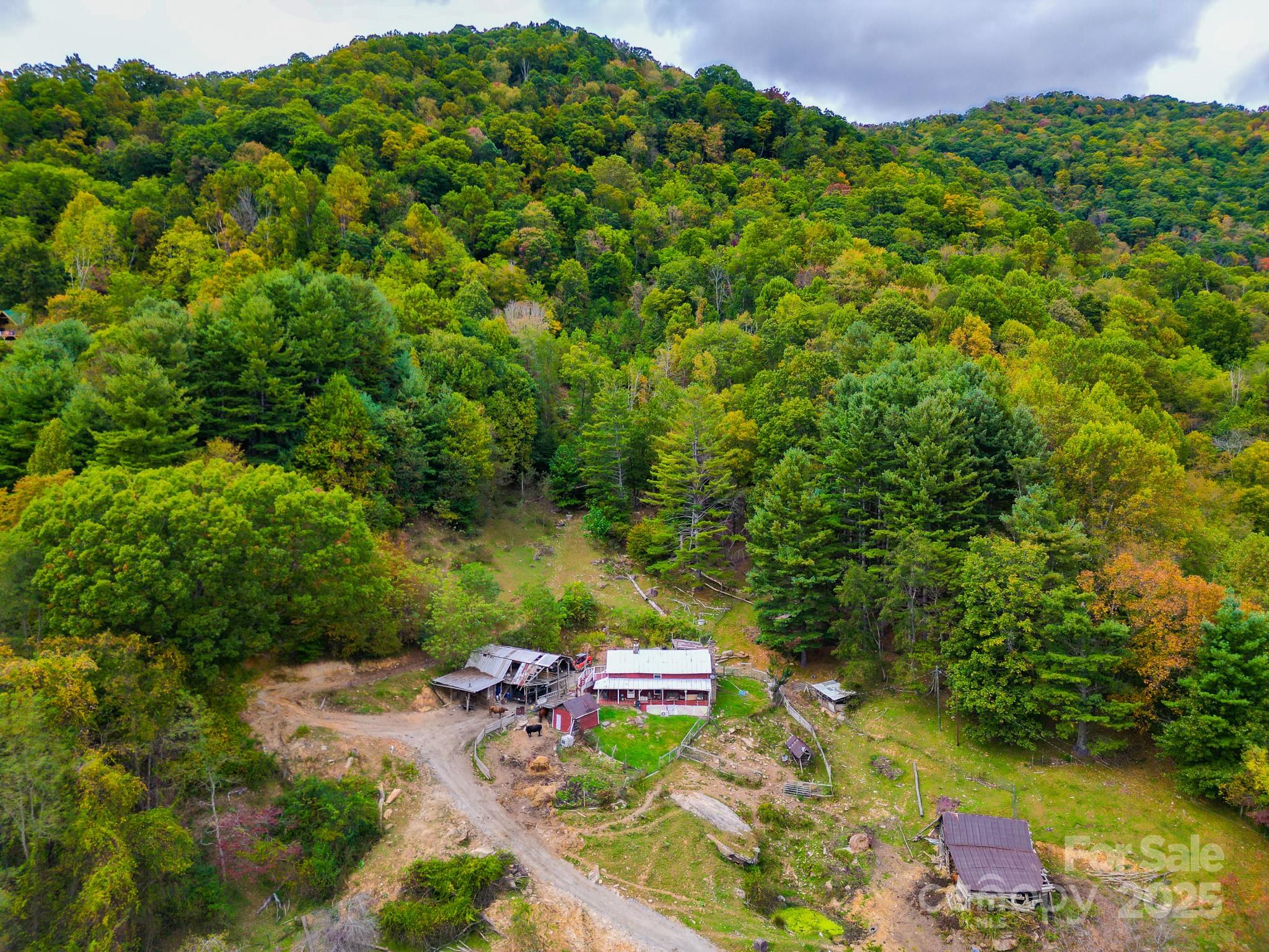 105 Home Place Road Property Photo 4