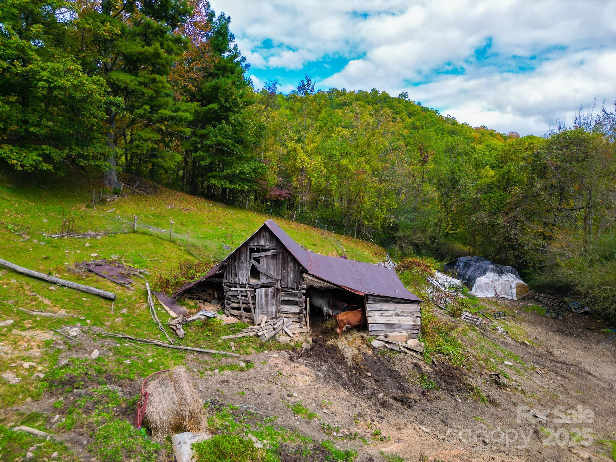 105 Home Place Road Property Photo 14