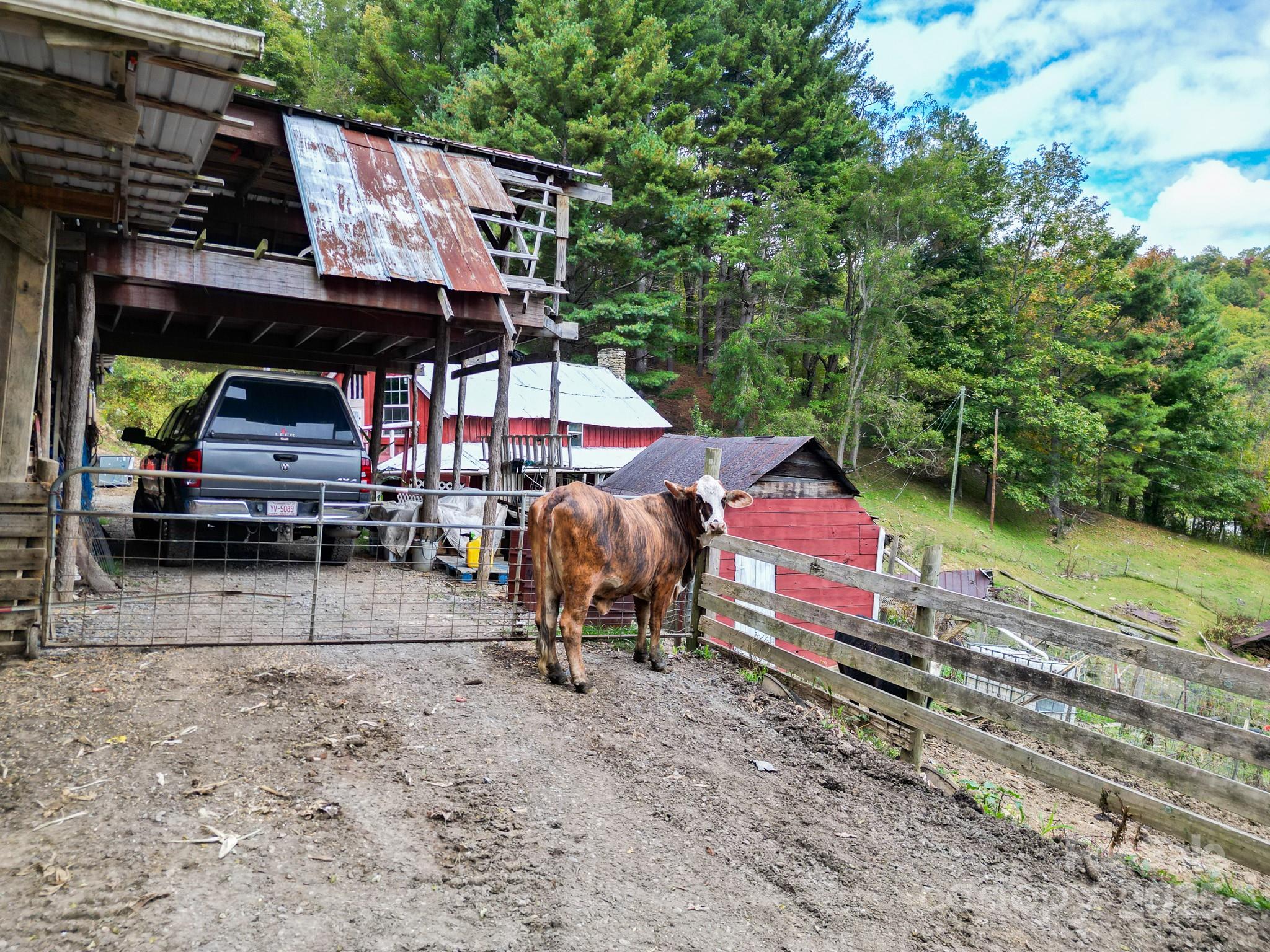 105 Home Place Road Property Photo 19
