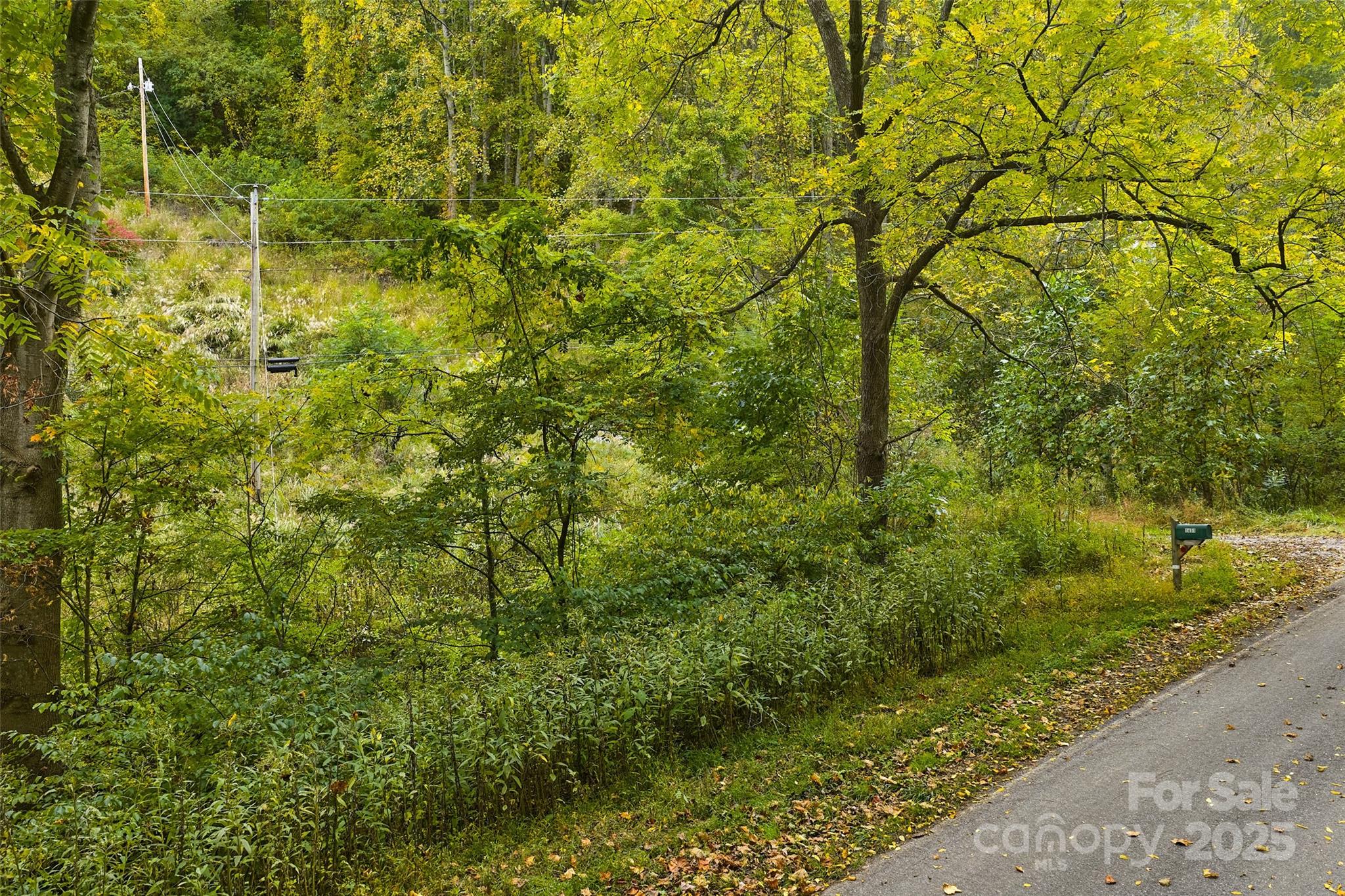 348 Chandler Creek Road Property Photo 2