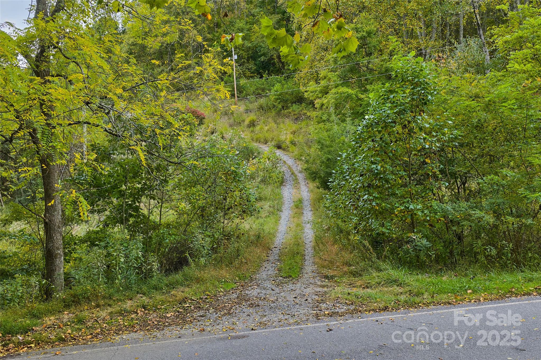 348 Chandler Creek Road Property Photo 3