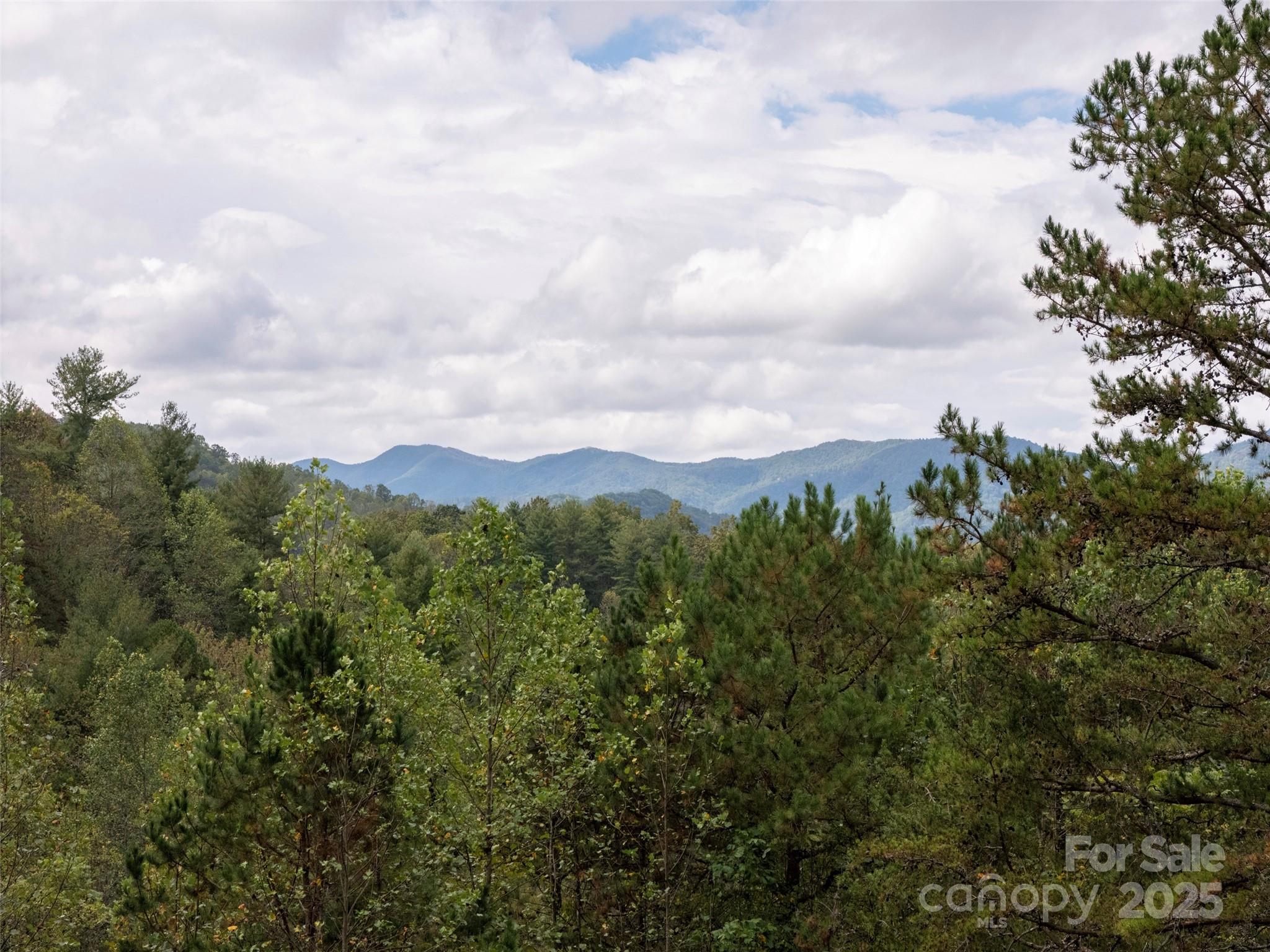 81 Mount Airy Road Property Photo 19