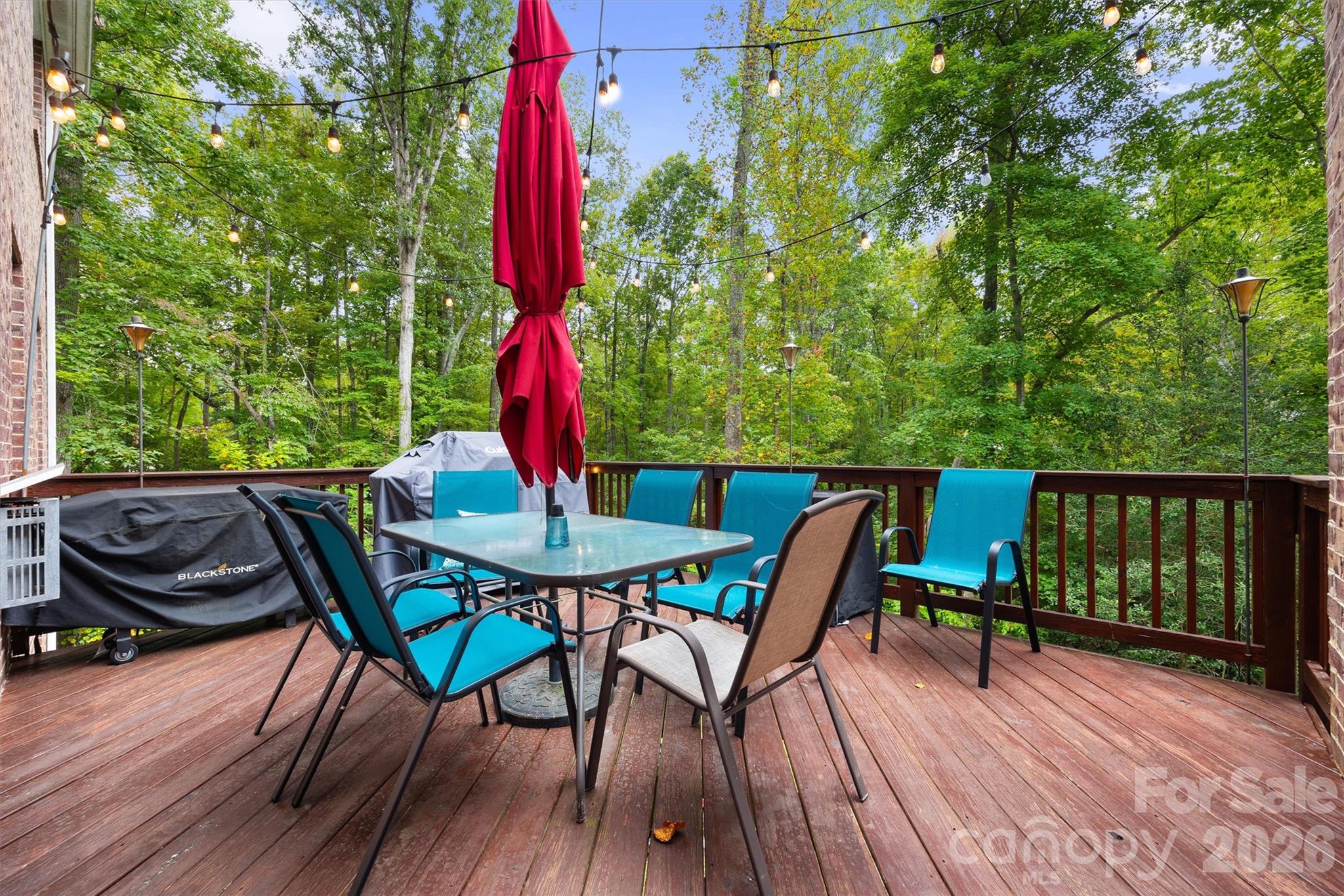 4237 Little Fork Cove Road Property Photo 38