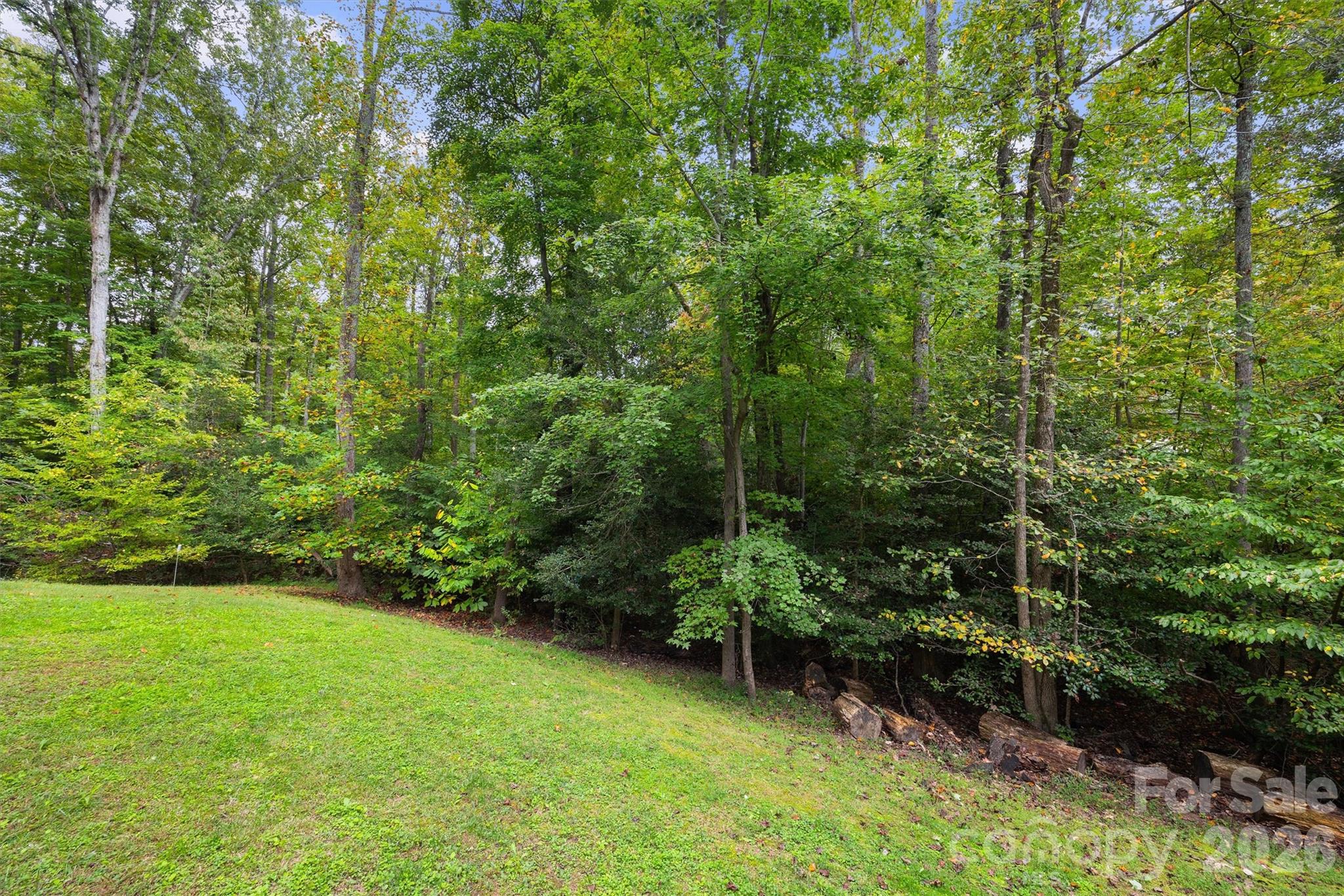4237 Little Fork Cove Road Property Photo 43