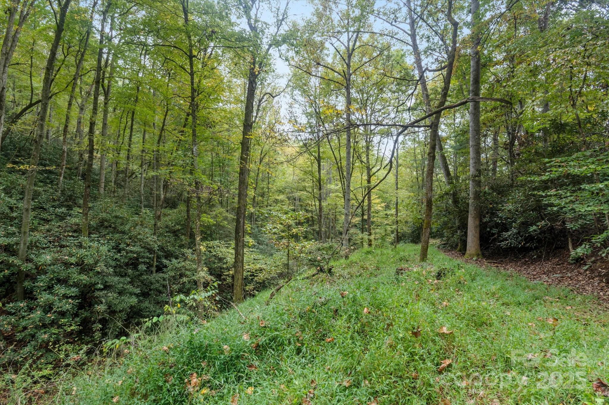 4040 Asheville Highway Property Photo 6