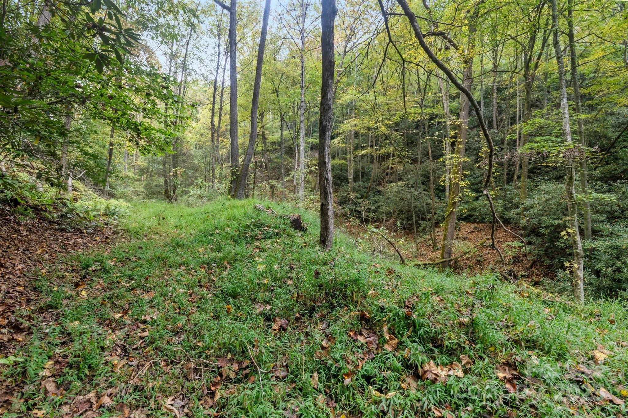 4040 Asheville Highway Property Photo 7