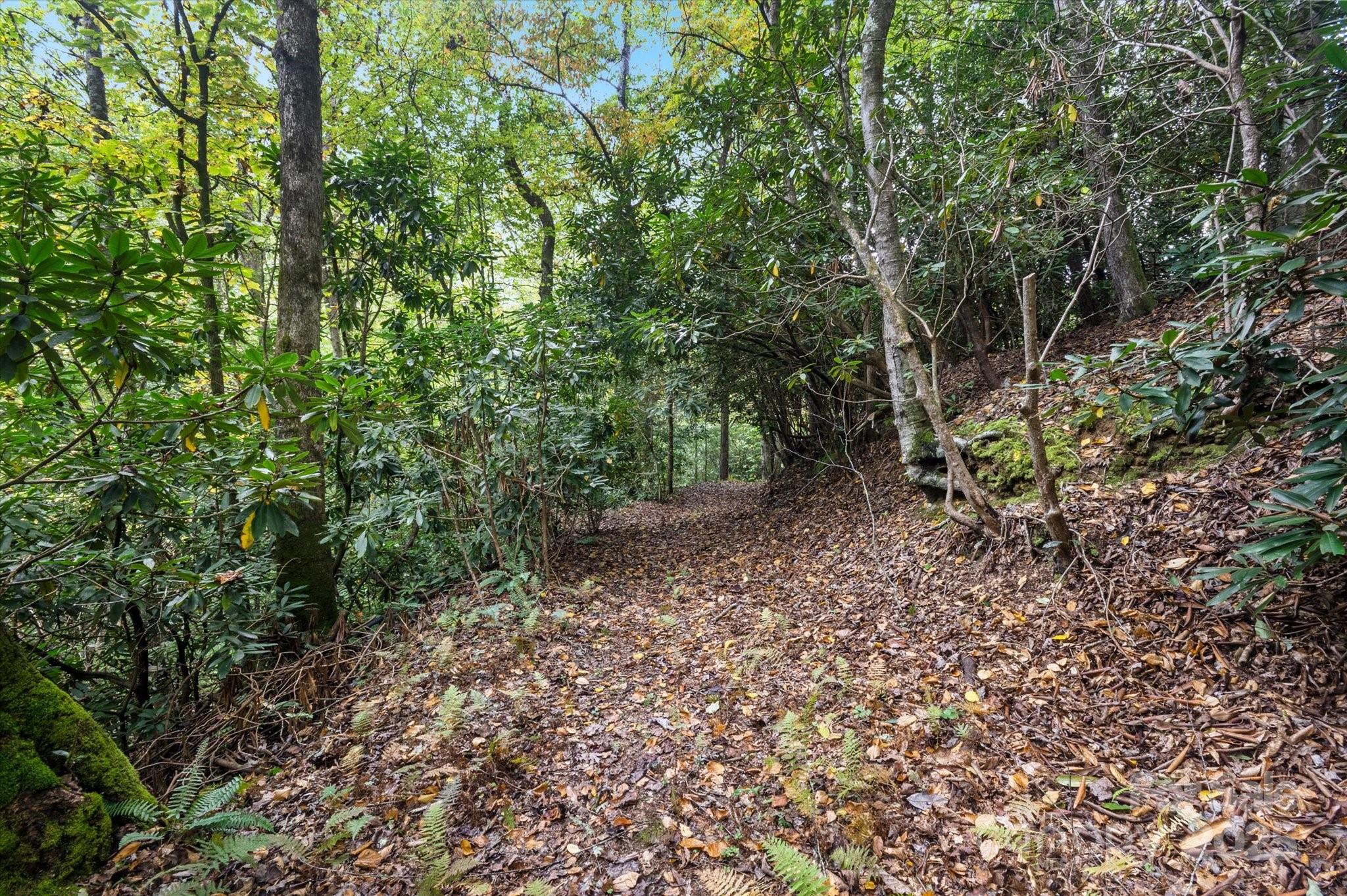 4040 Asheville Highway Property Photo 8