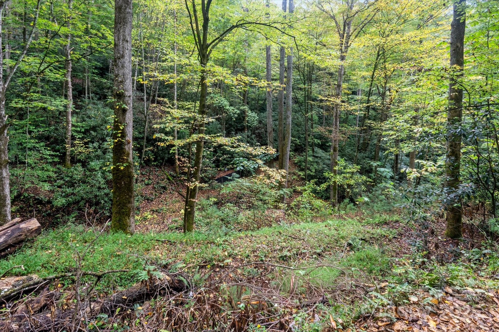 4040 Asheville Highway Property Photo 9