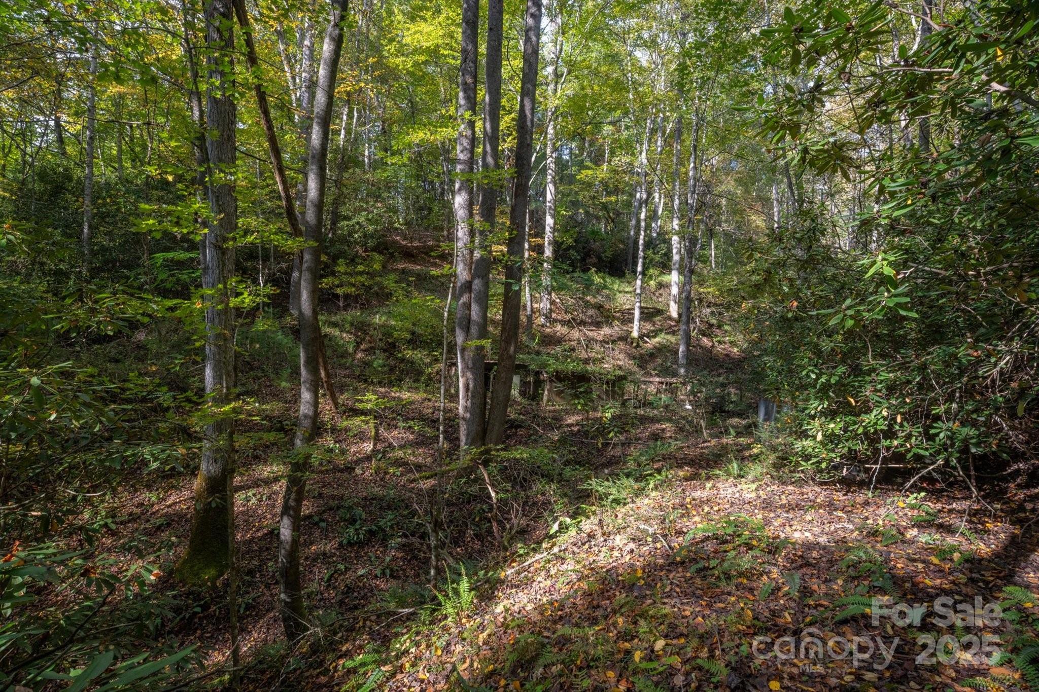 4040 Asheville Highway Property Photo 35