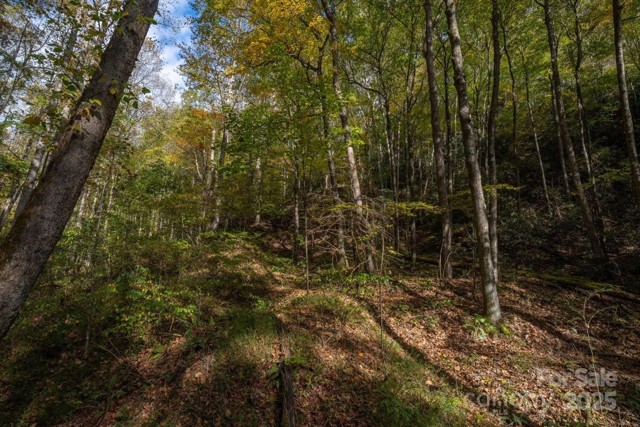 4040 Asheville Highway Property Photo 39