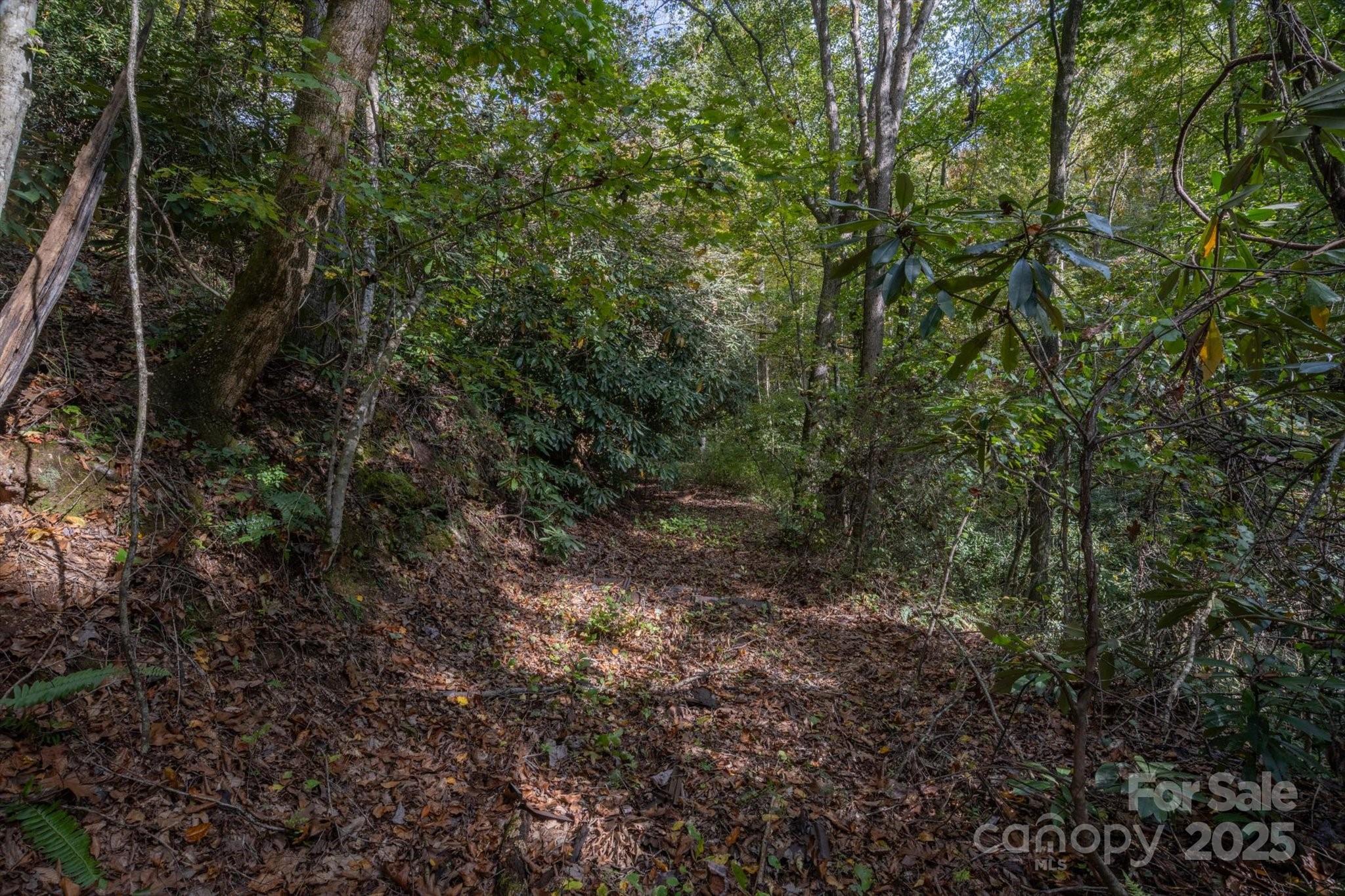 4040 Asheville Highway Property Photo 42