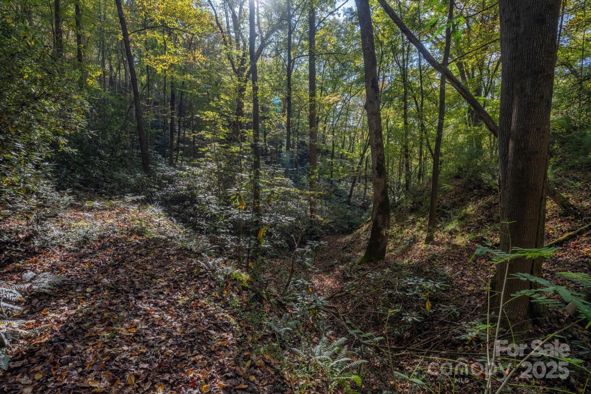 4040 Asheville Highway Property Photo 43