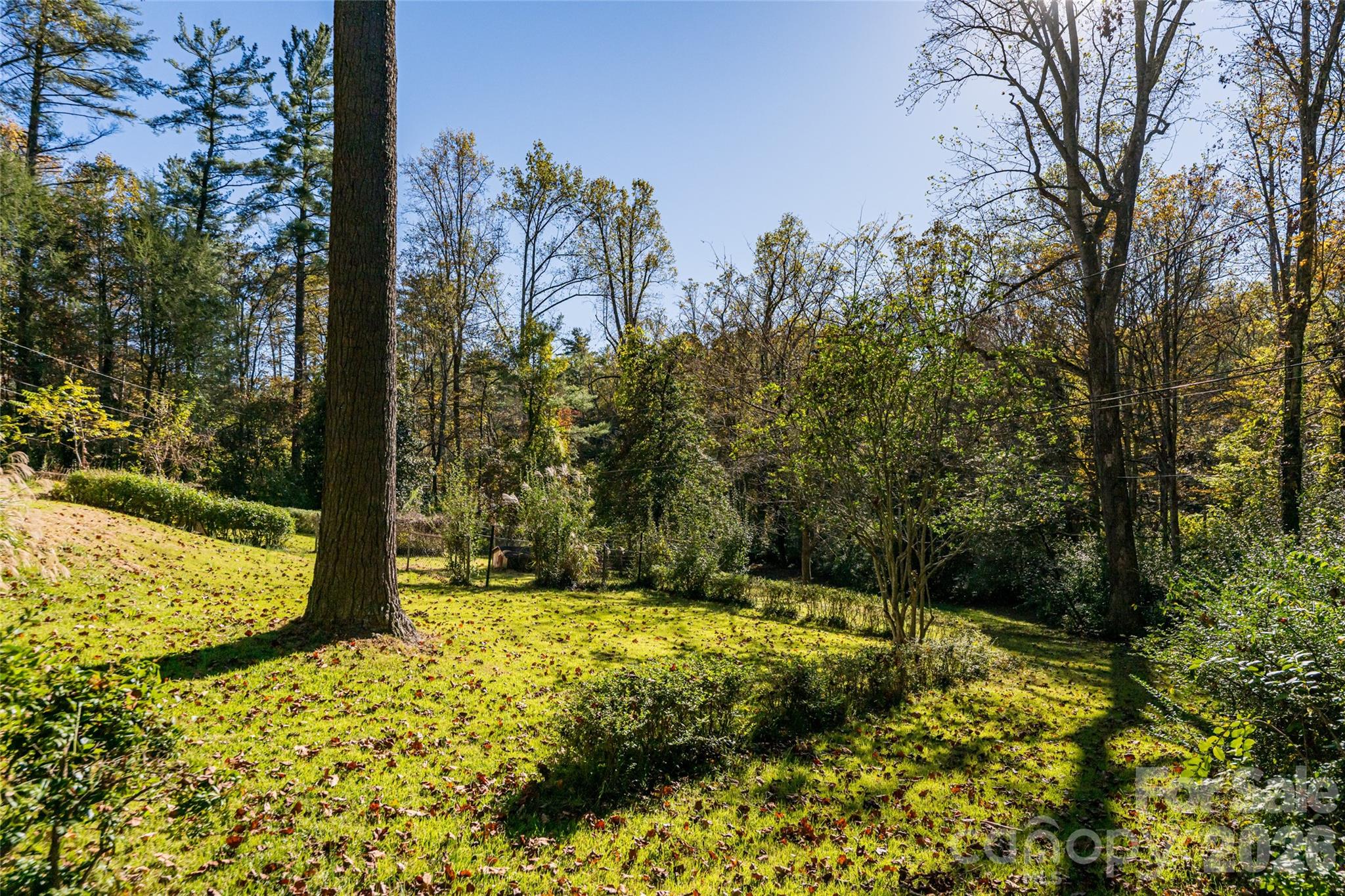 325 Vanderbilt Road Property Photo 40