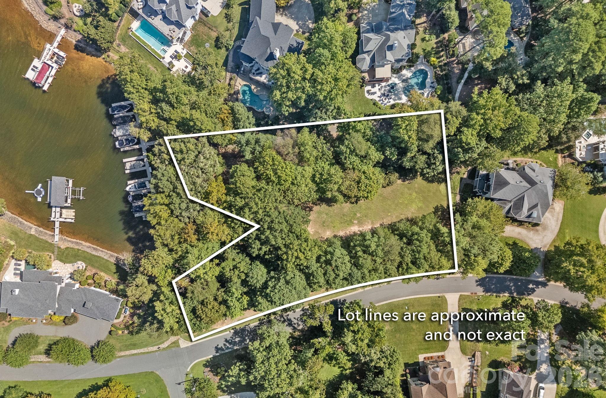 19002 Lakehouse Pointe Drive Property Photo 3