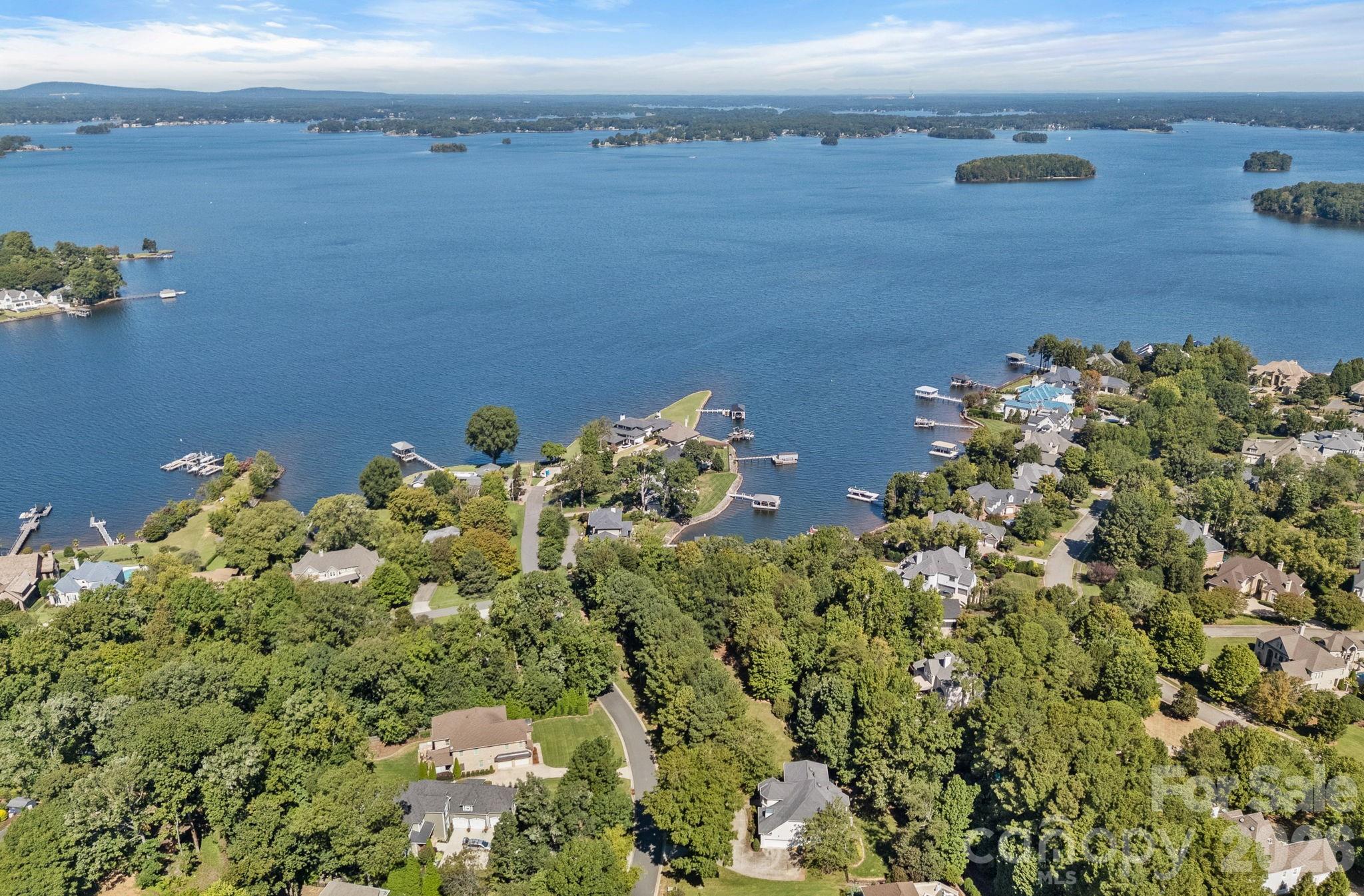 19002 Lakehouse Pointe Drive Property Photo 8