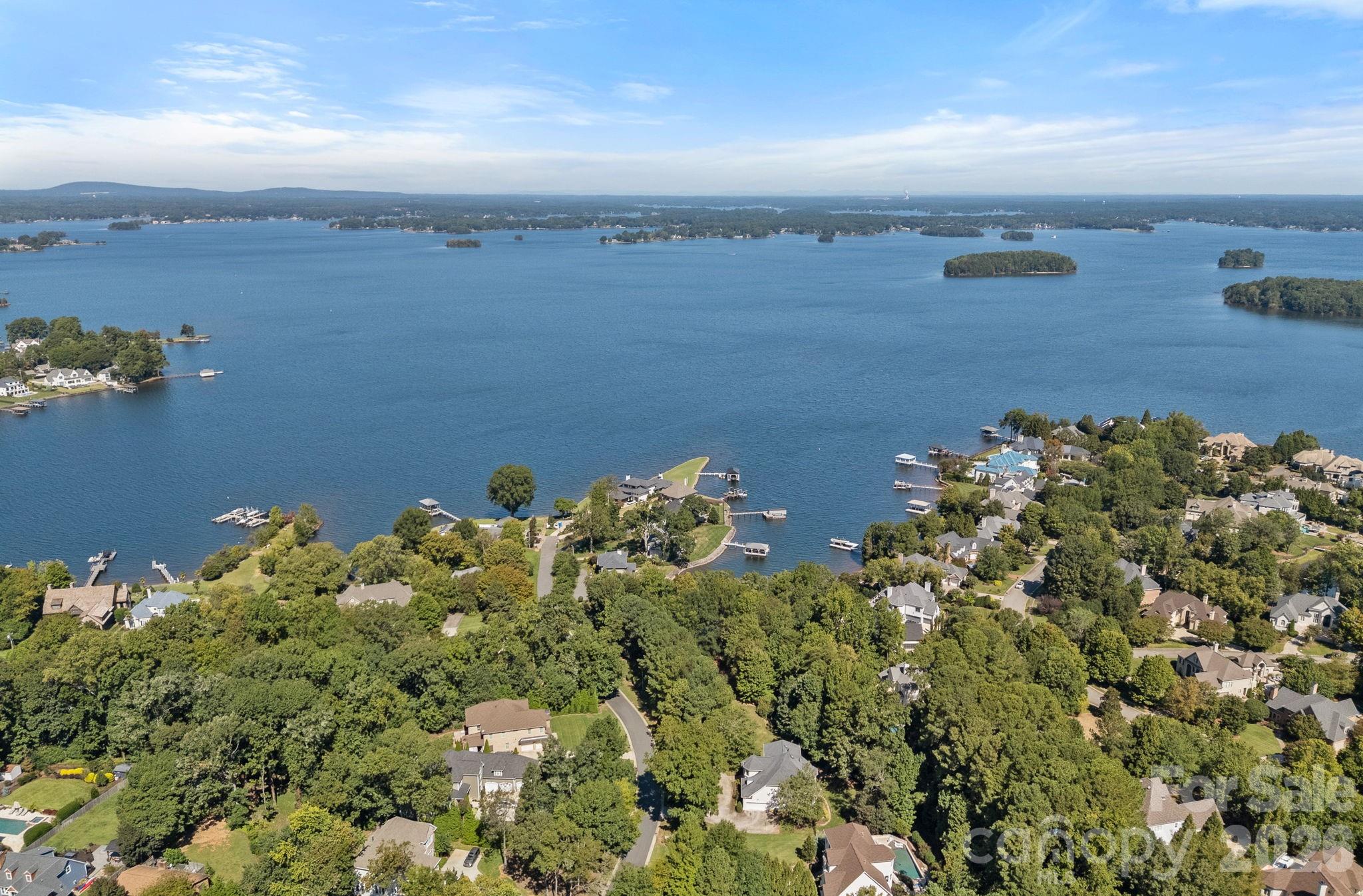 19002 Lakehouse Pointe Drive Property Photo 9