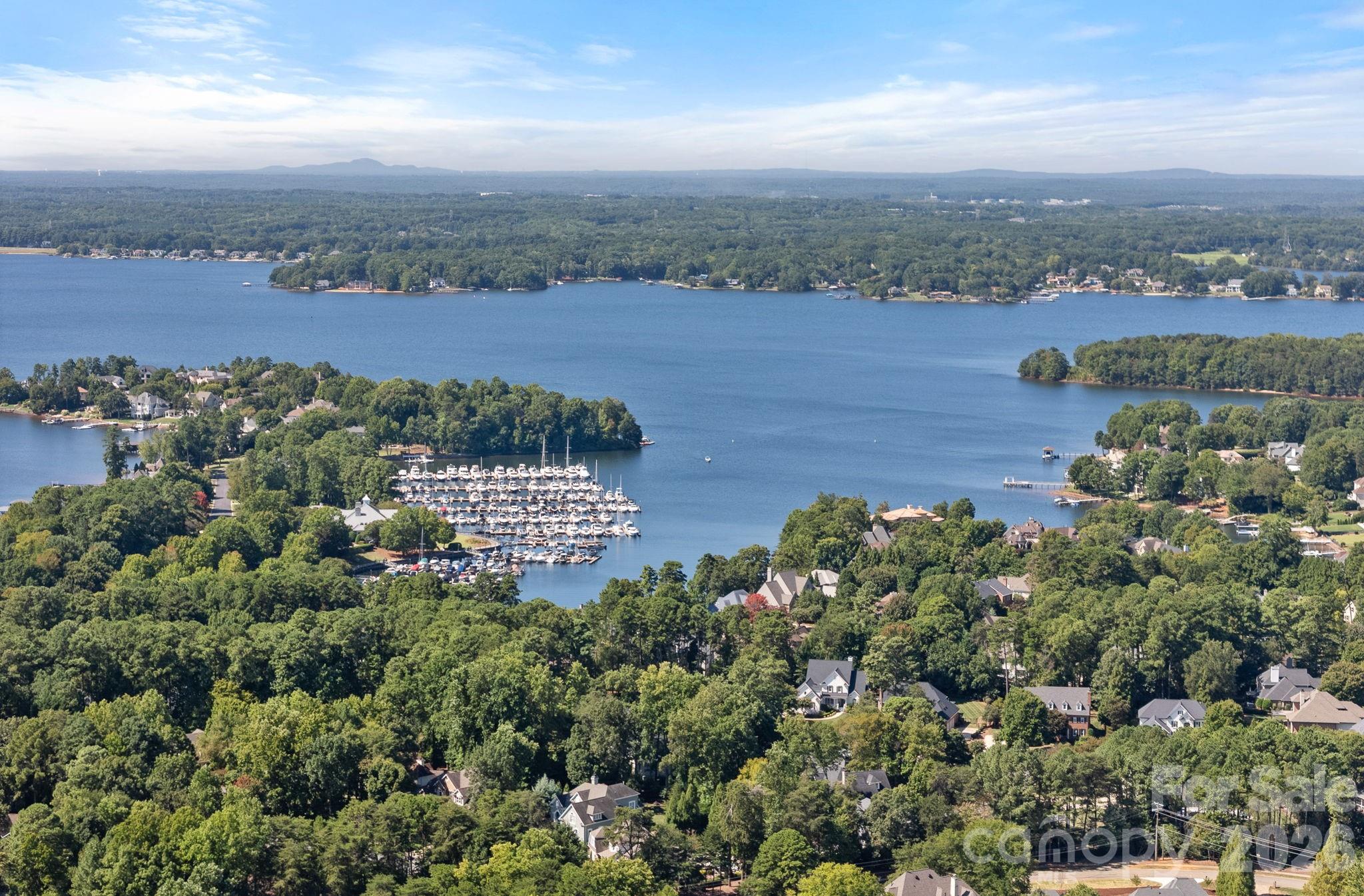 19002 Lakehouse Pointe Drive Property Photo 14