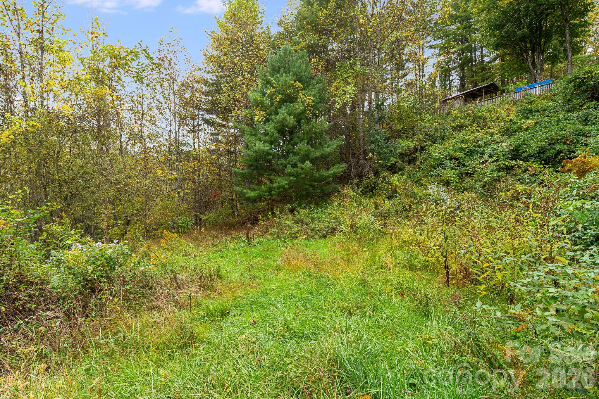 211 Evergreen Road Property Photo 9