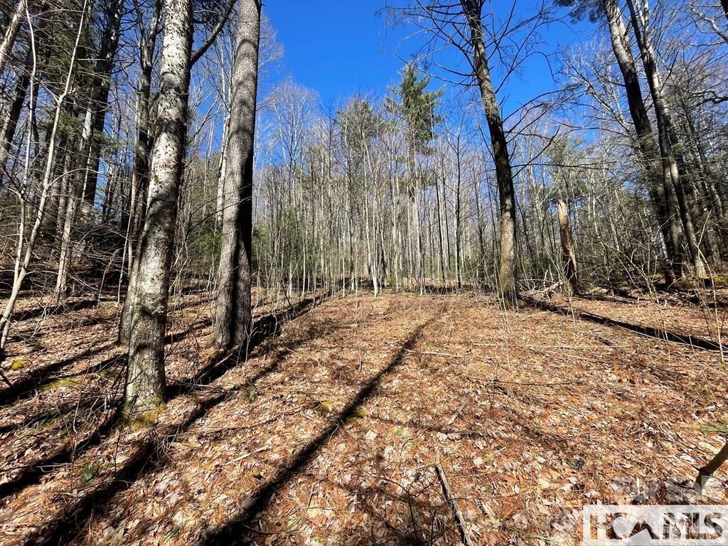 1 Bear Log Road