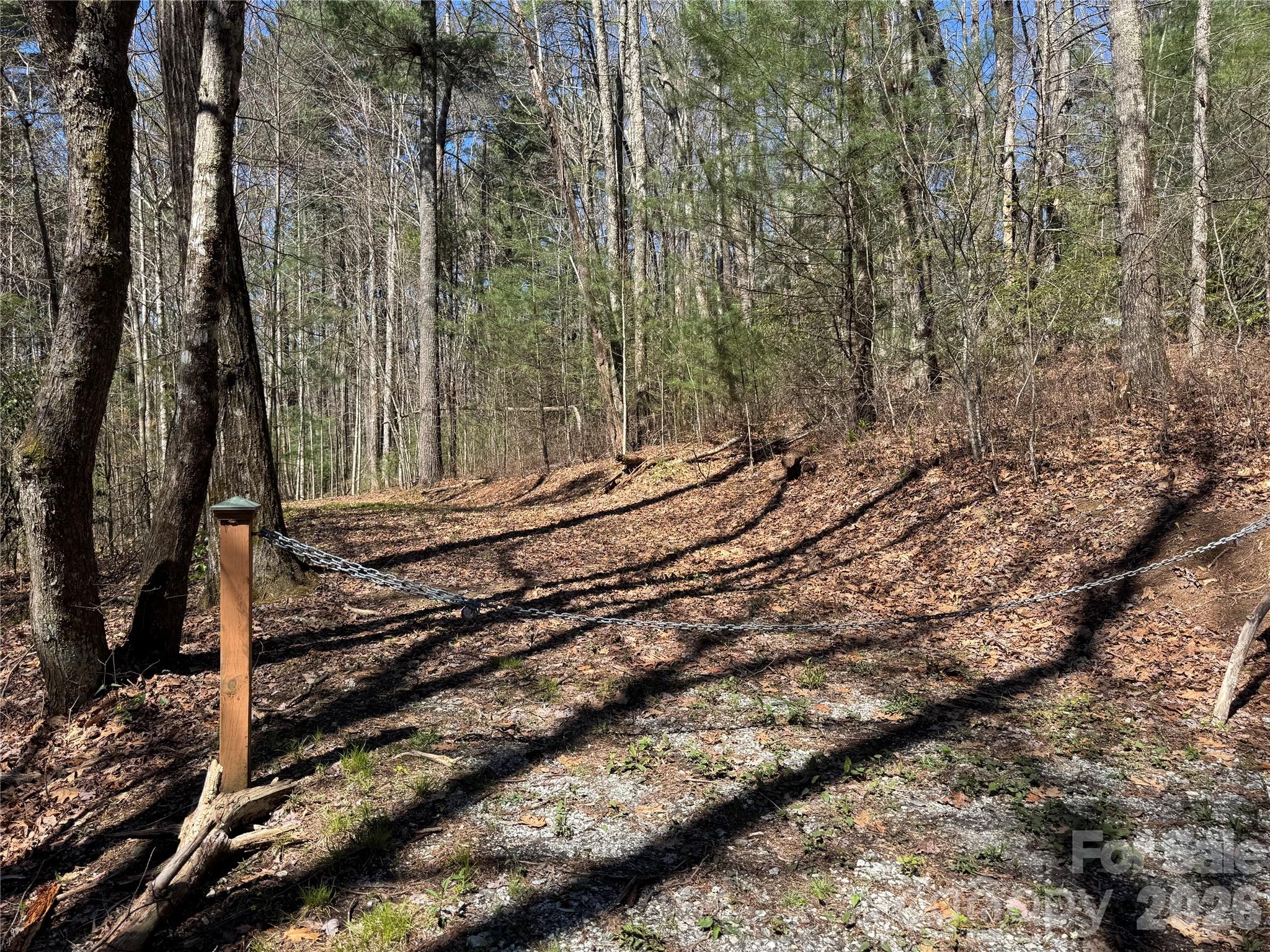 1 Bear Log Road Property Photo 2