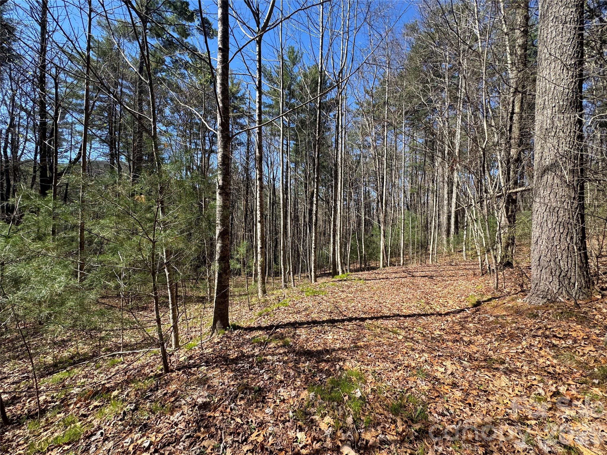 1 Bear Log Road Property Photo 4