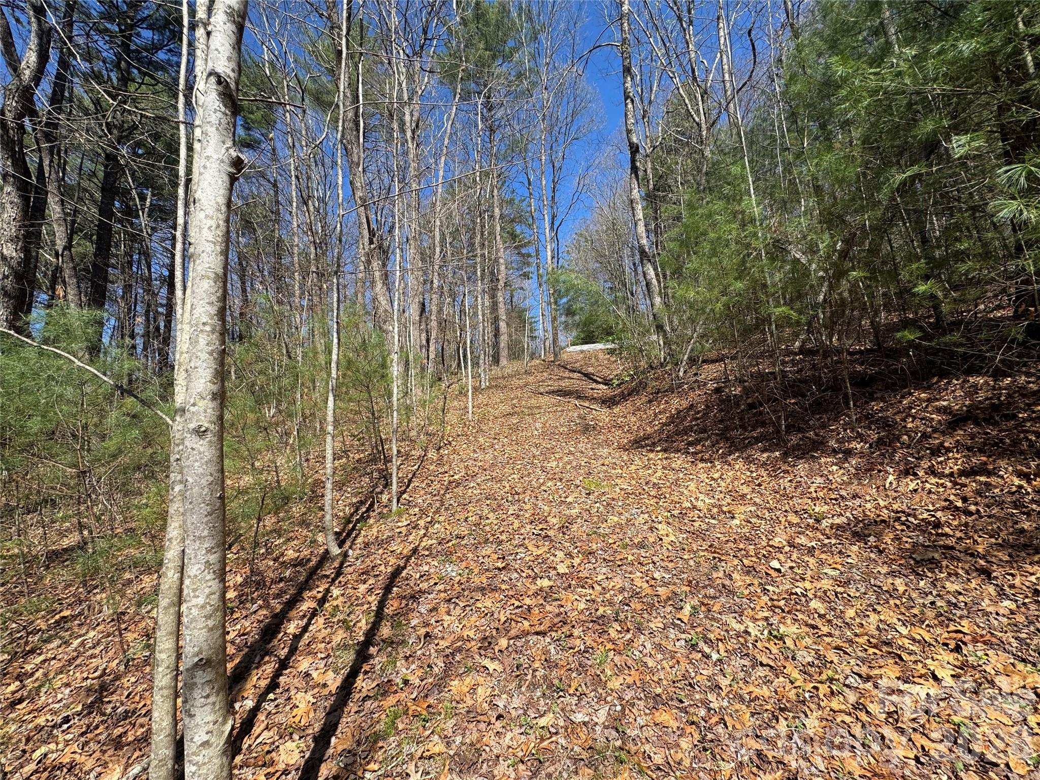 1 Bear Log Road Property Photo 5