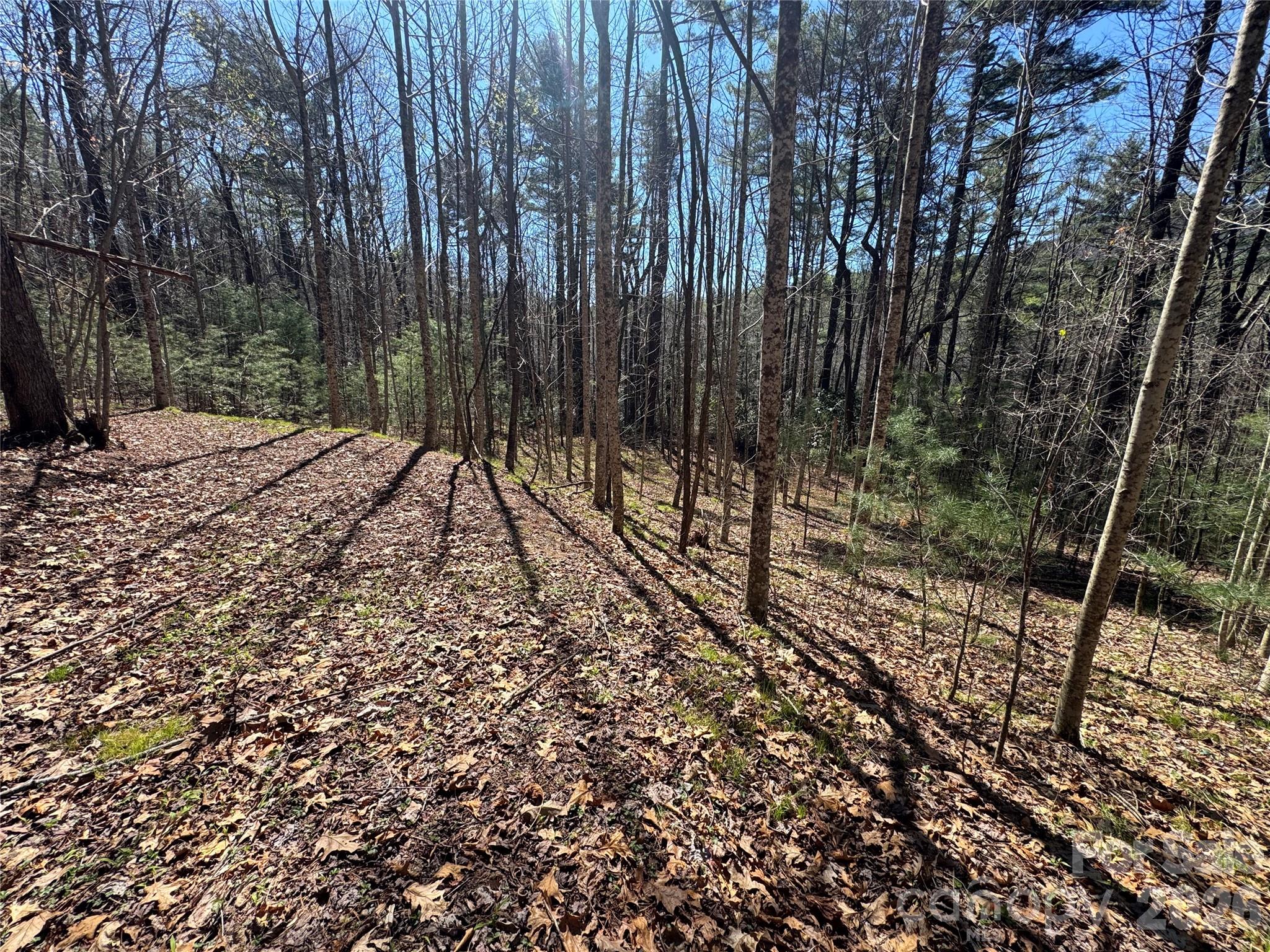 1 Bear Log Road Property Photo 6