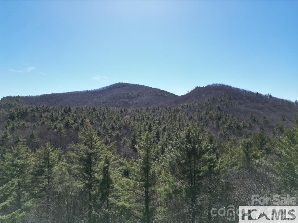 1 Bear Log Road Property Photo 10