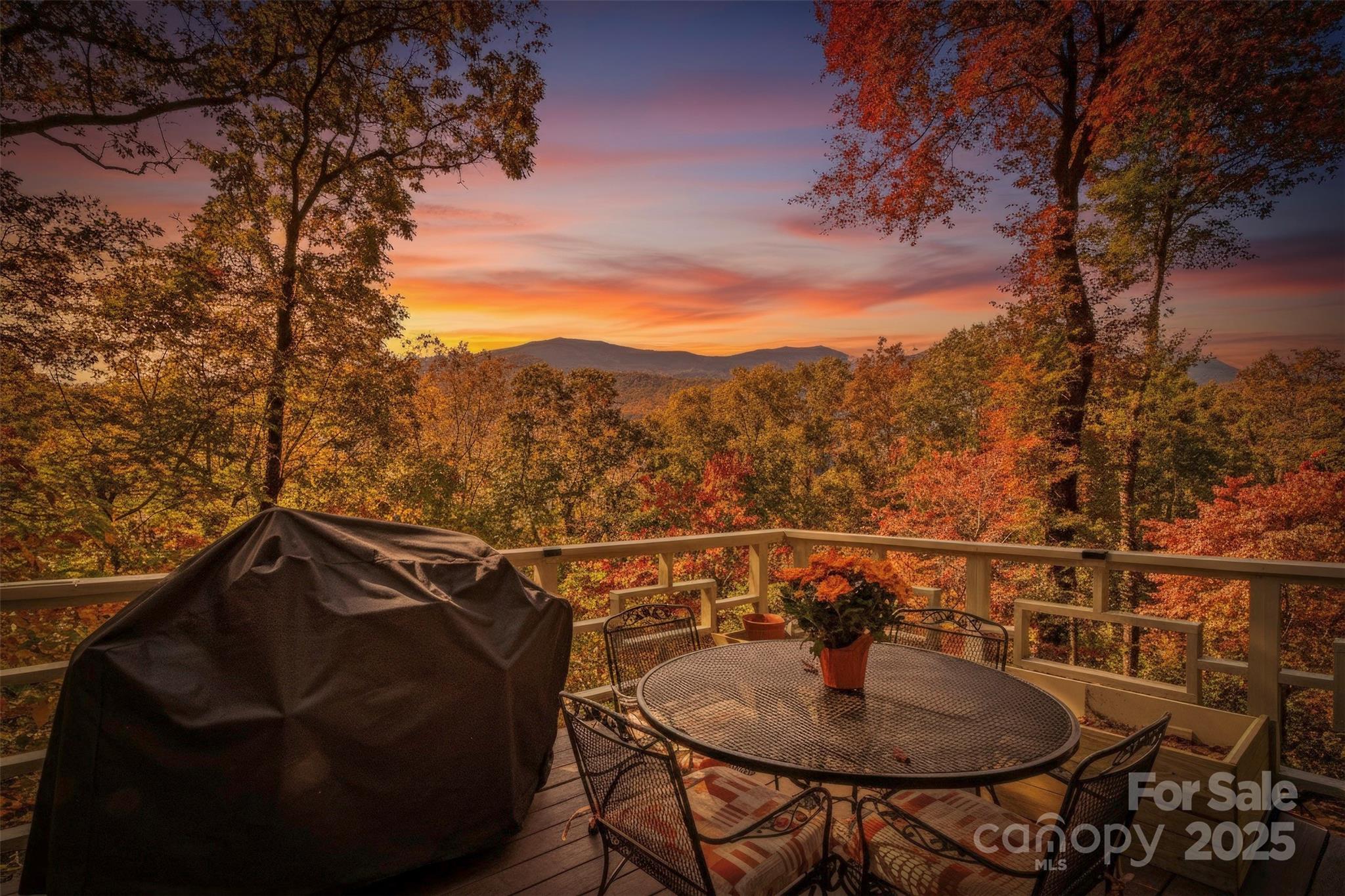 354 Big Ridge Road Property Photo 1