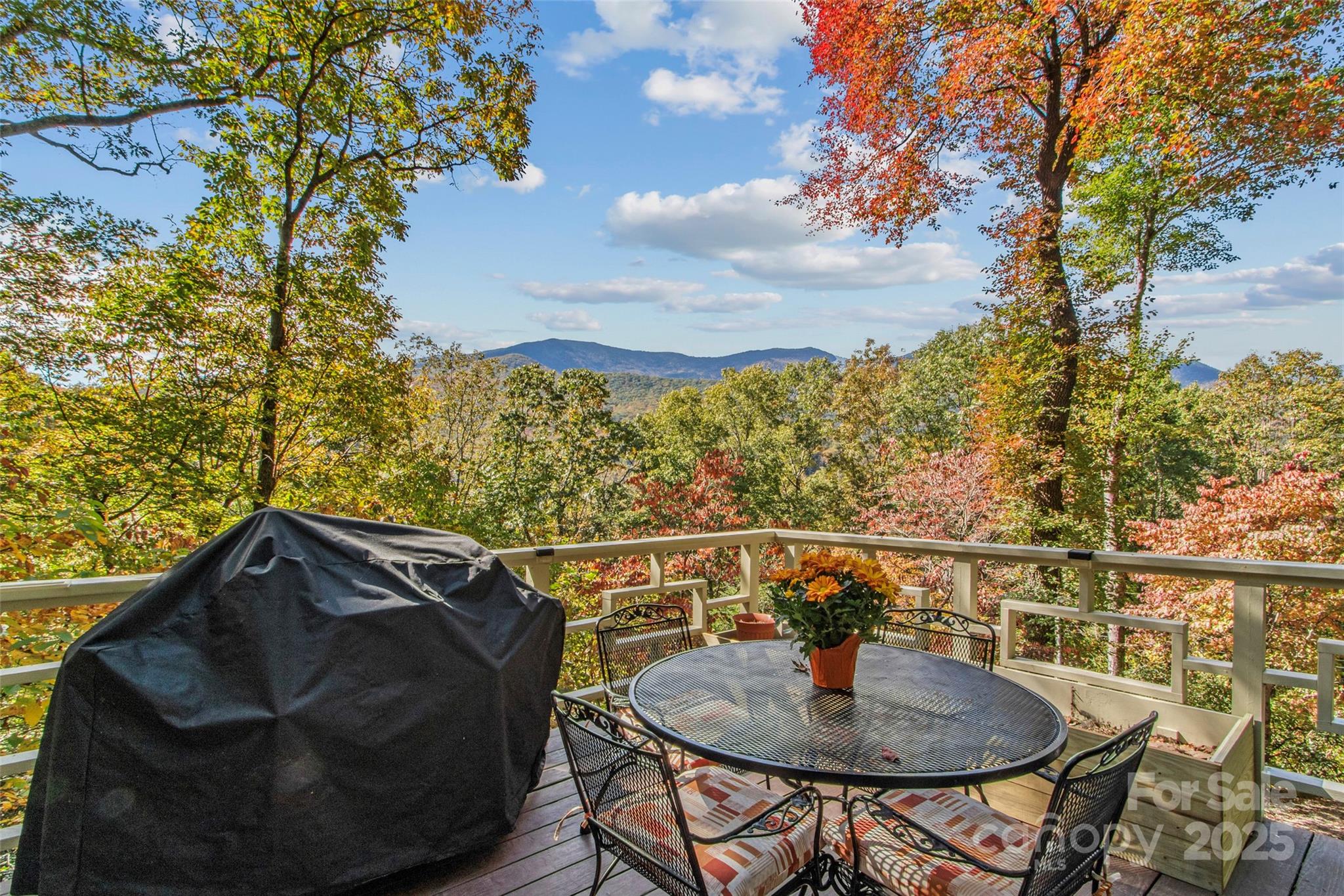 354 Big Ridge Road Property Photo 5