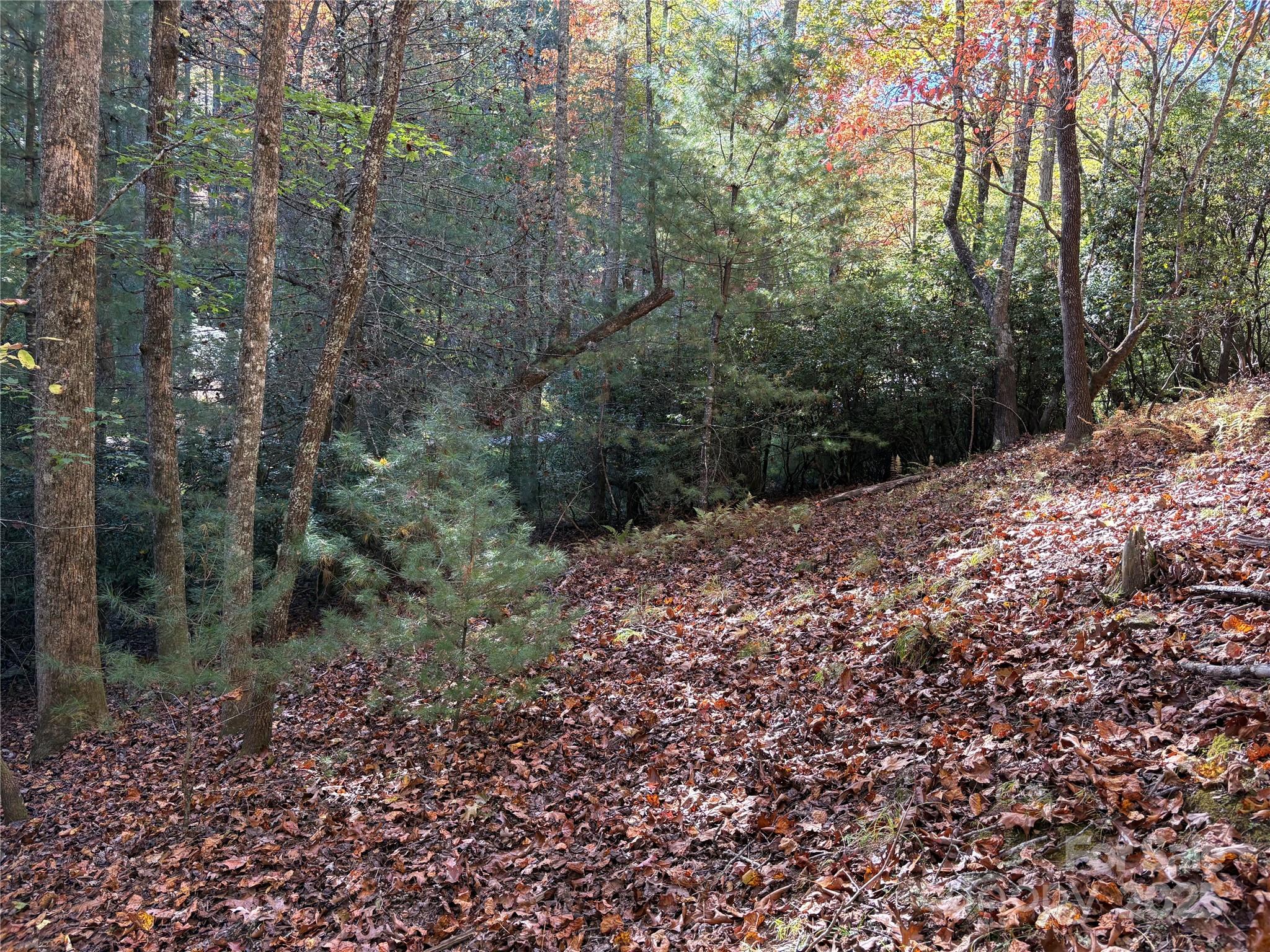 00 Caddis Lane 94 Property Photo 1