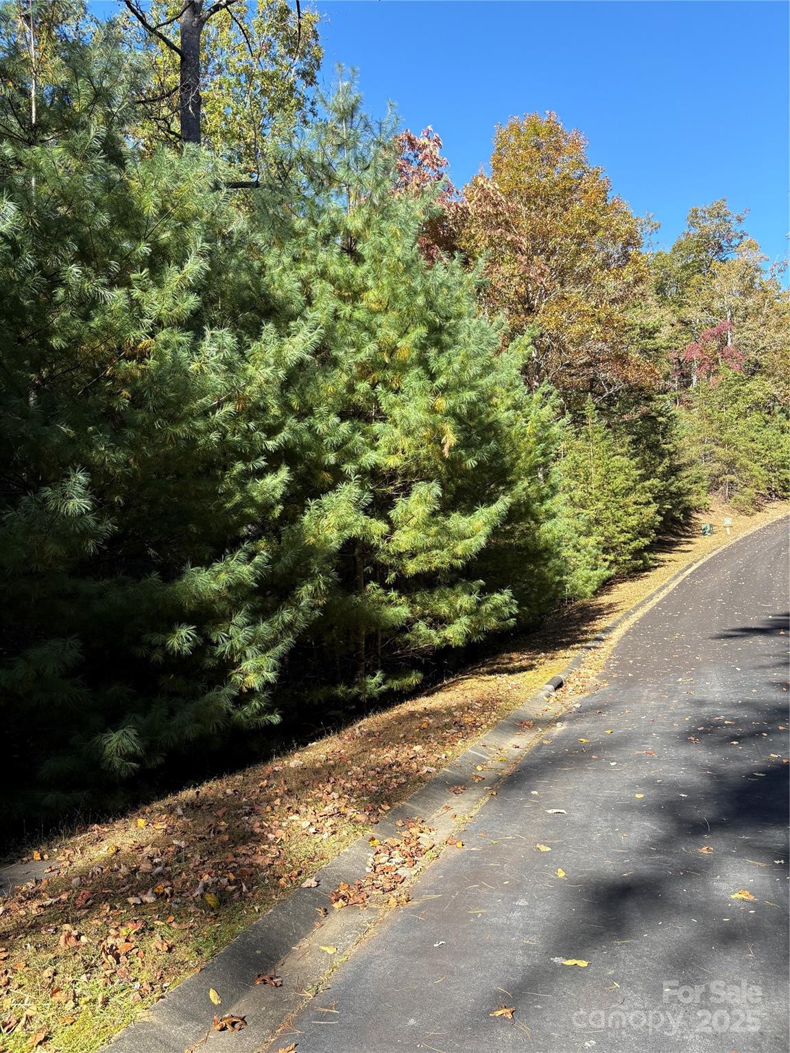 00 Caddis Lane 94 Property Photo 3