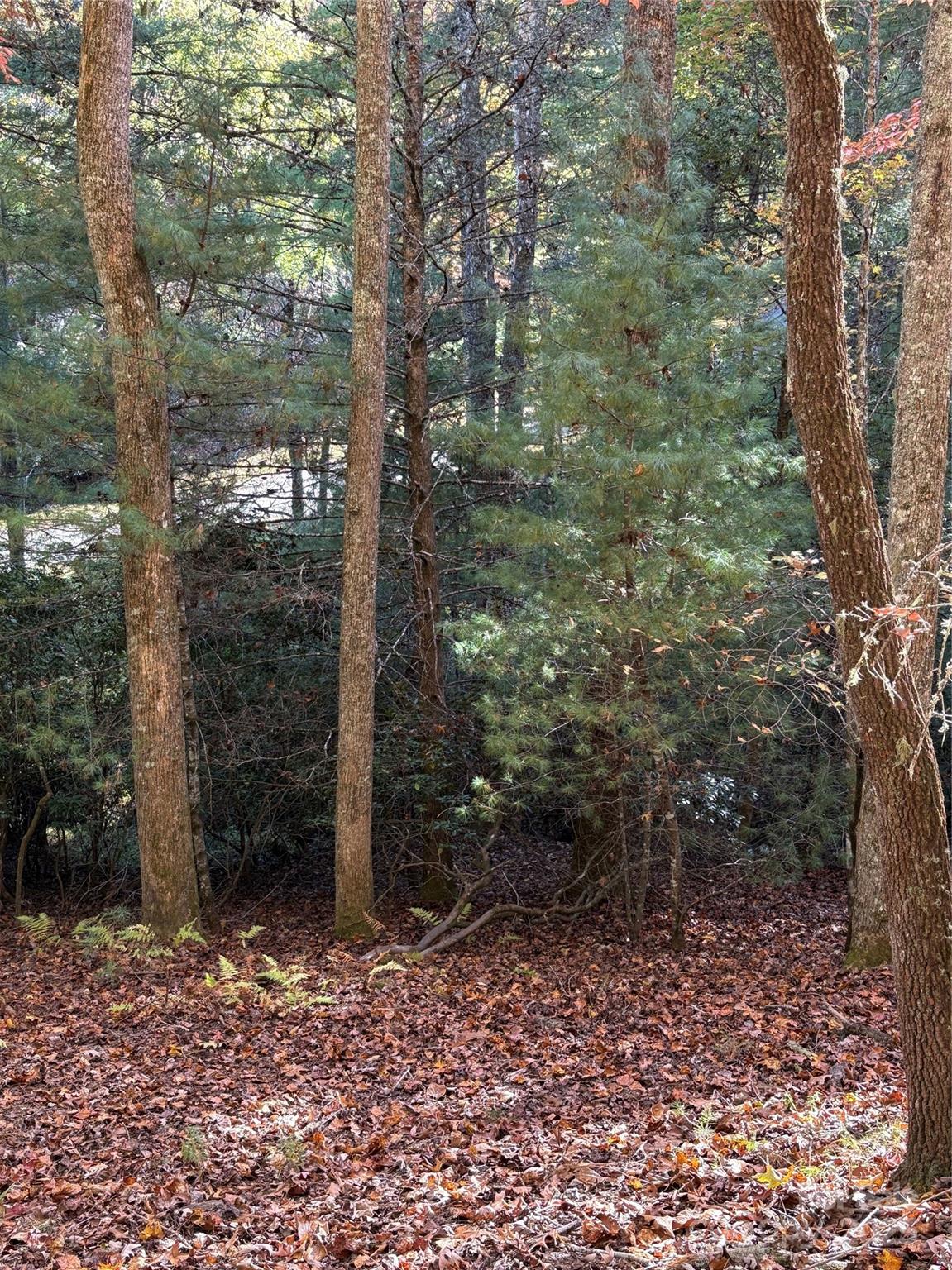 00 Caddis Lane 94 Property Photo 4