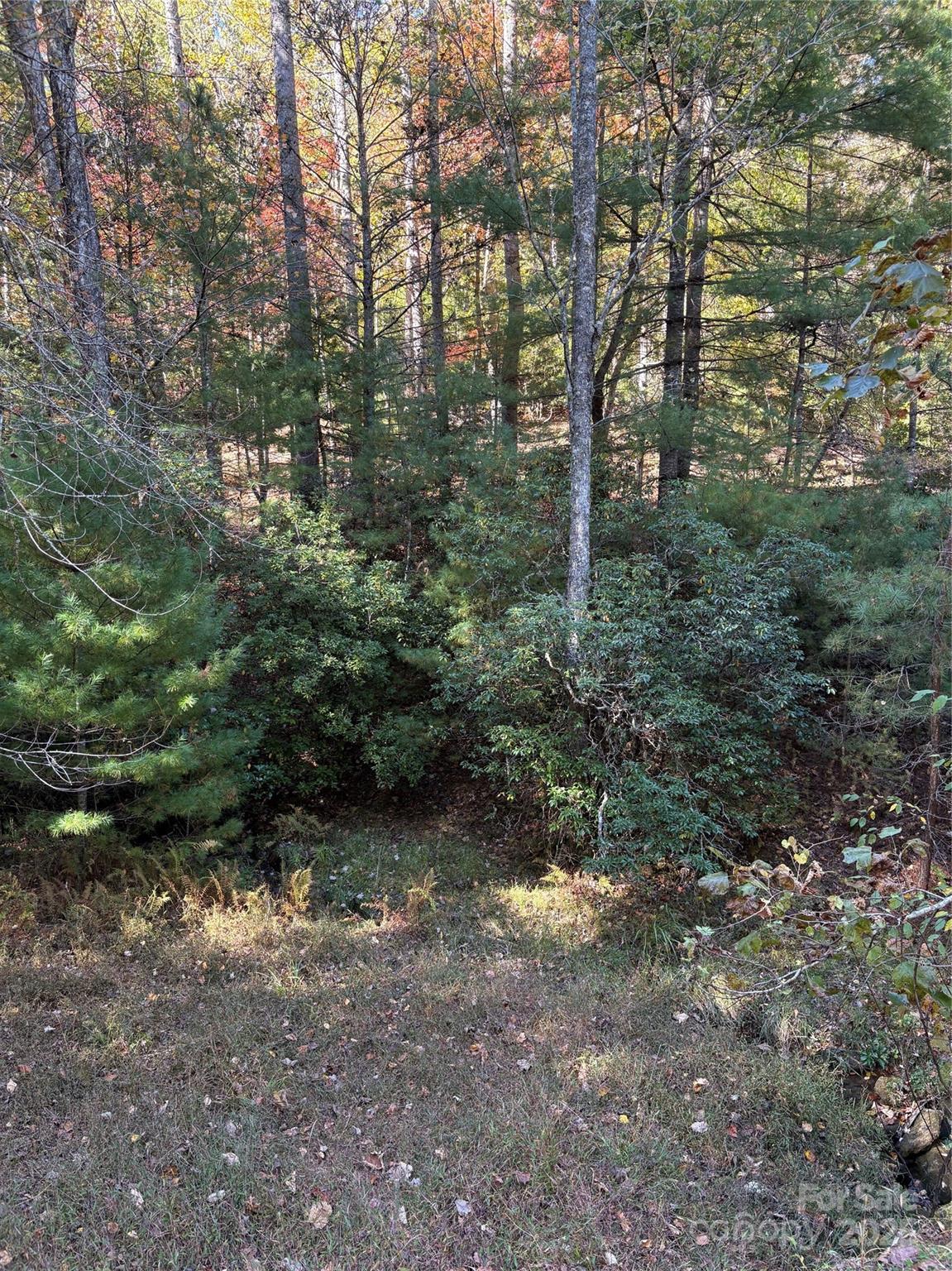 00 Caddis Lane 94 Property Photo 6