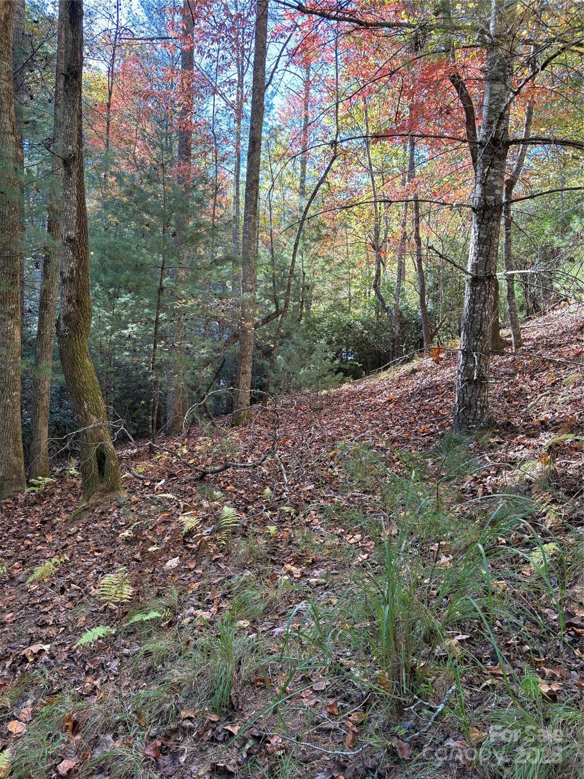 00 Caddis Lane 94 Property Photo 7