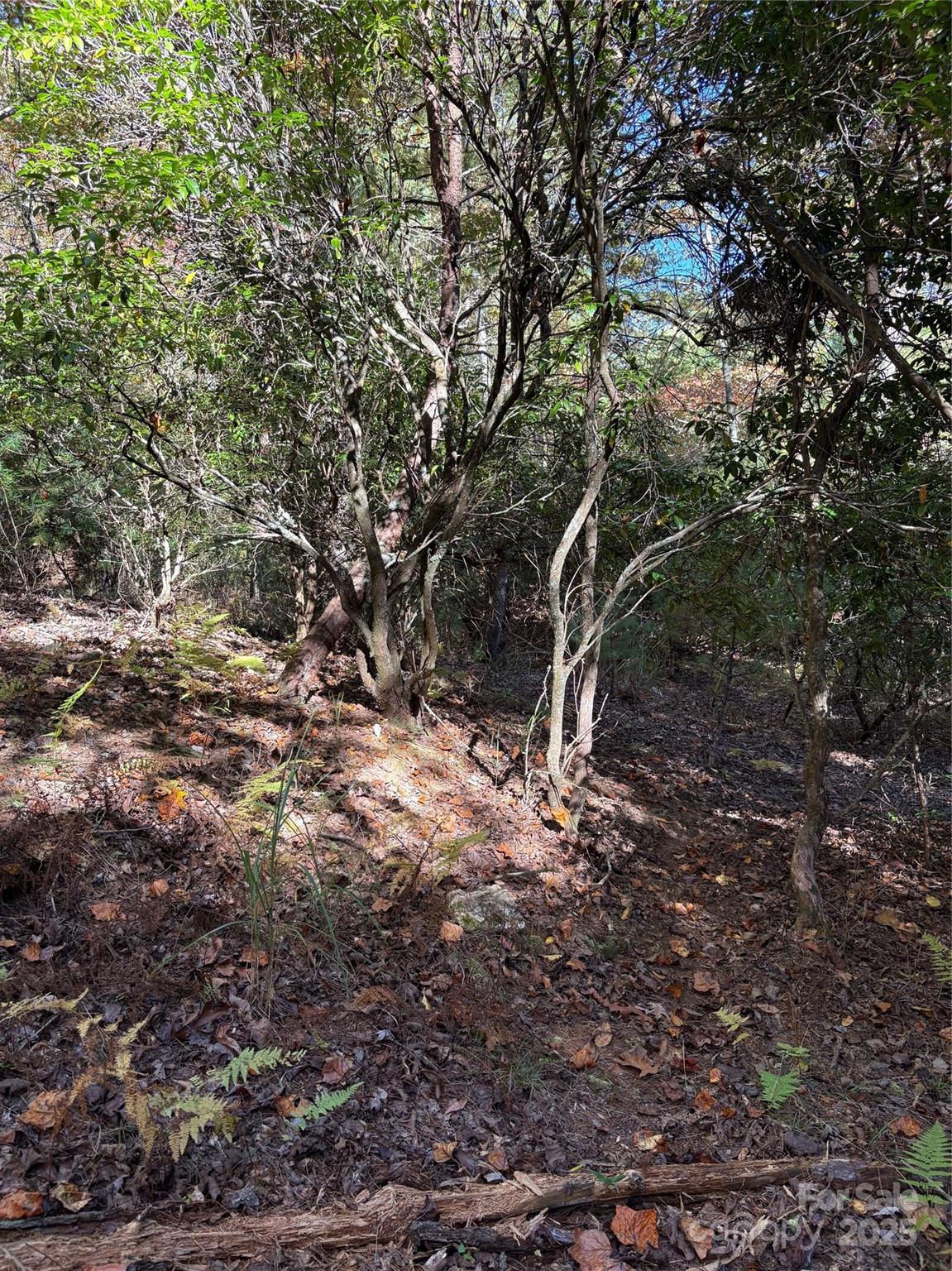 00 Caddis Lane 94 Property Photo 8