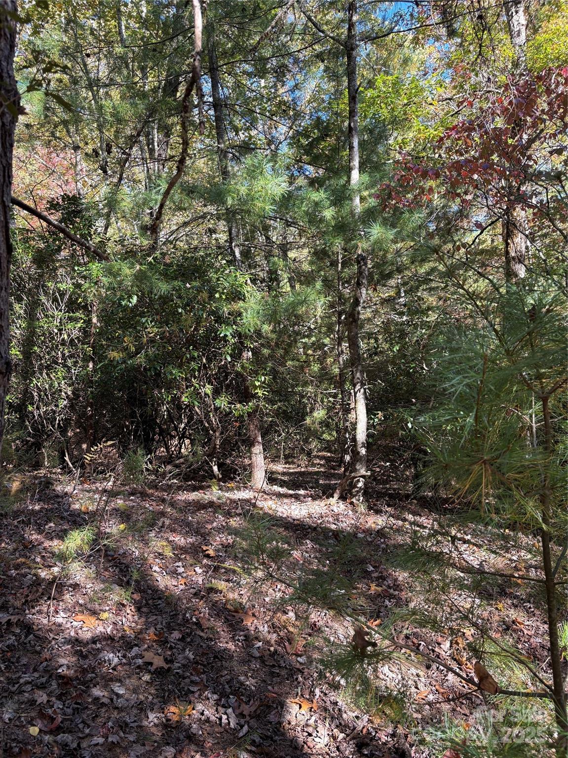 00 Caddis Lane 94 Property Photo 9